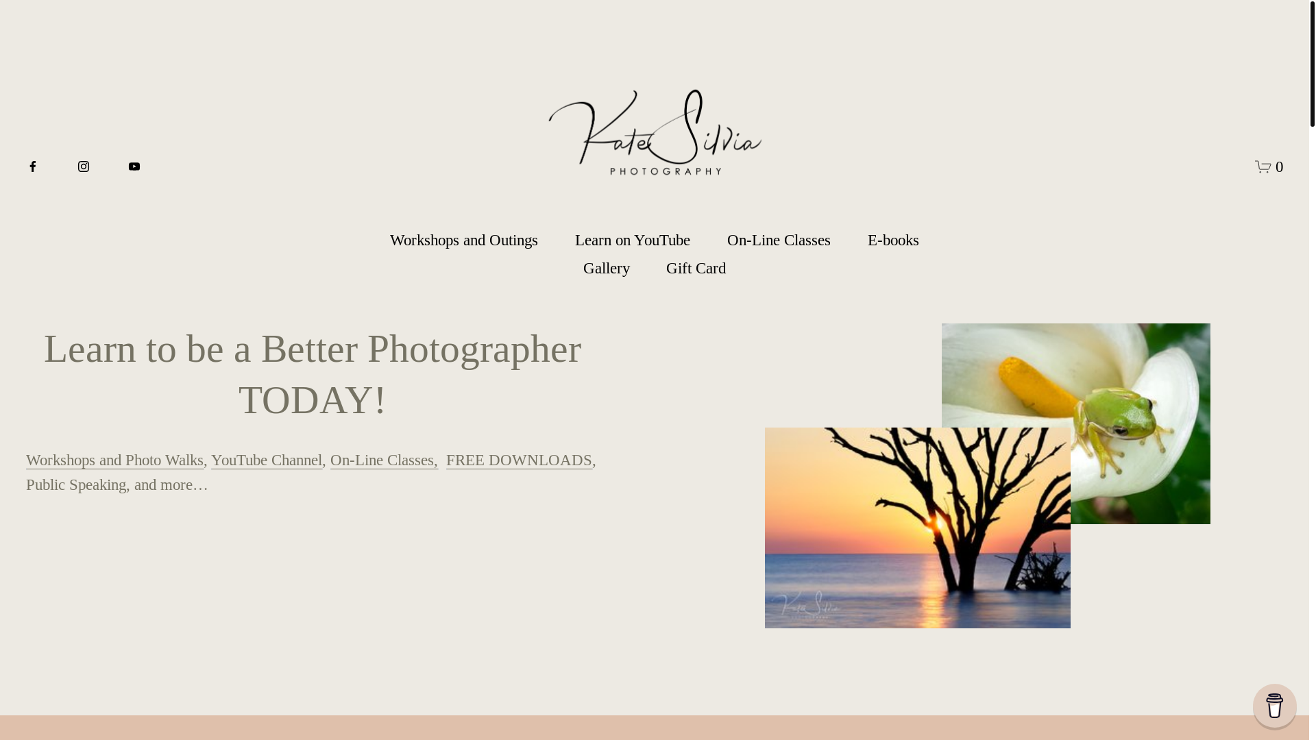 website screenshot of https://katesilvia.art/