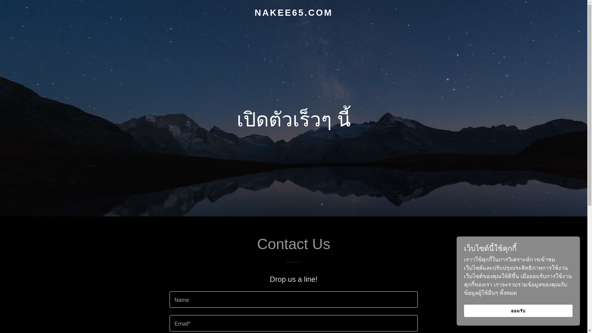 website screenshot of https://nakee65.com/