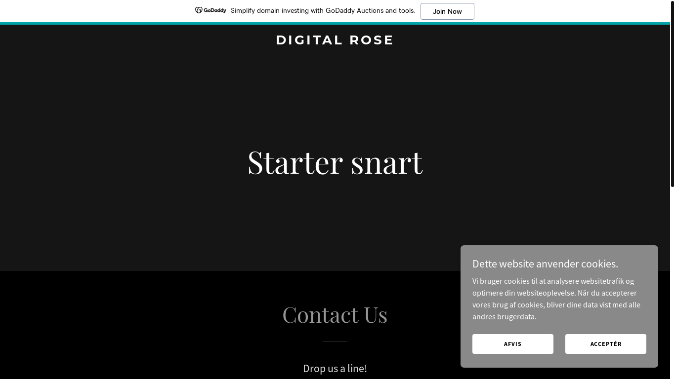 website screenshot of https://digitalrose.world/
