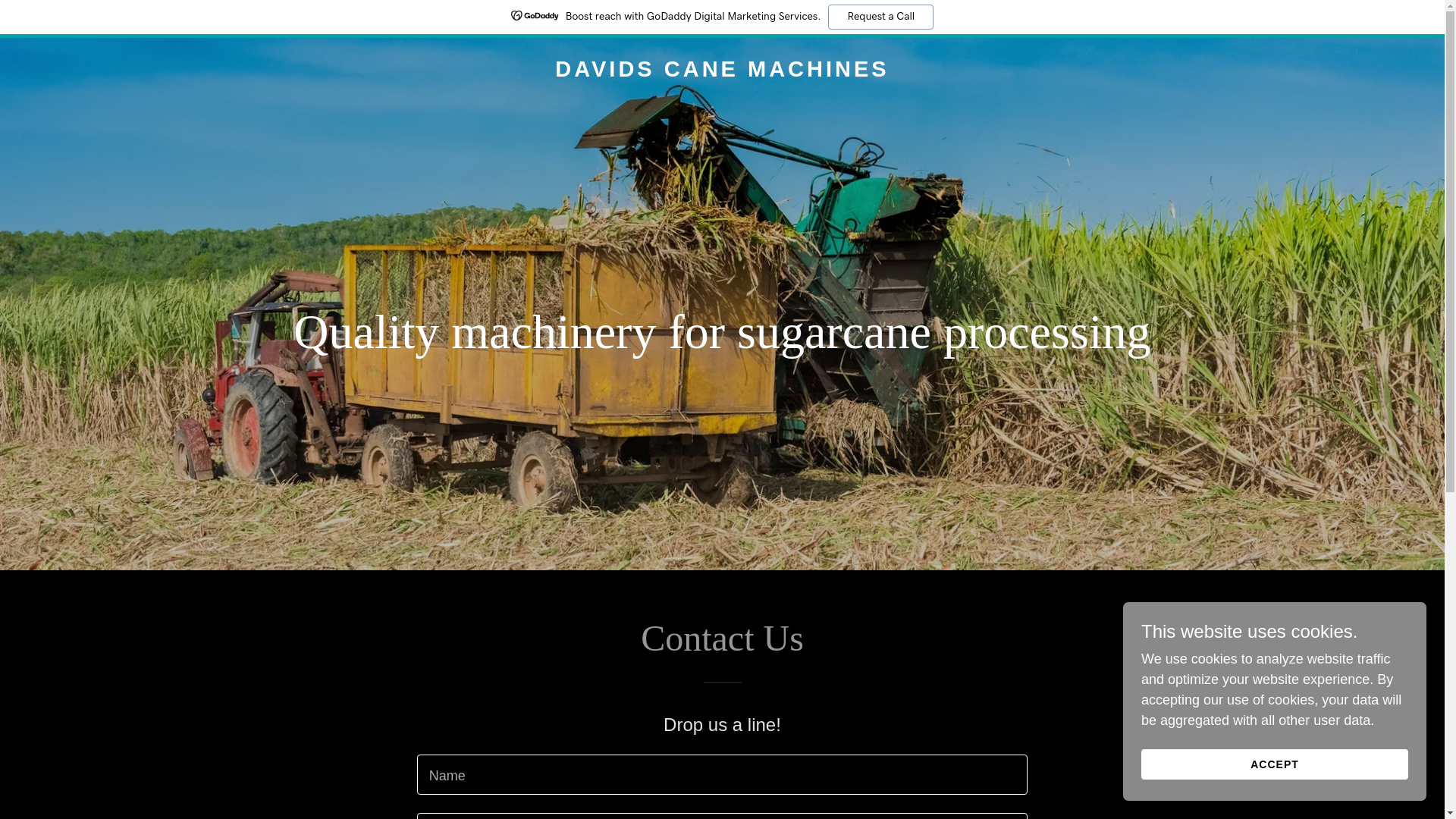 website screenshot of https://davidscanemachines.com/