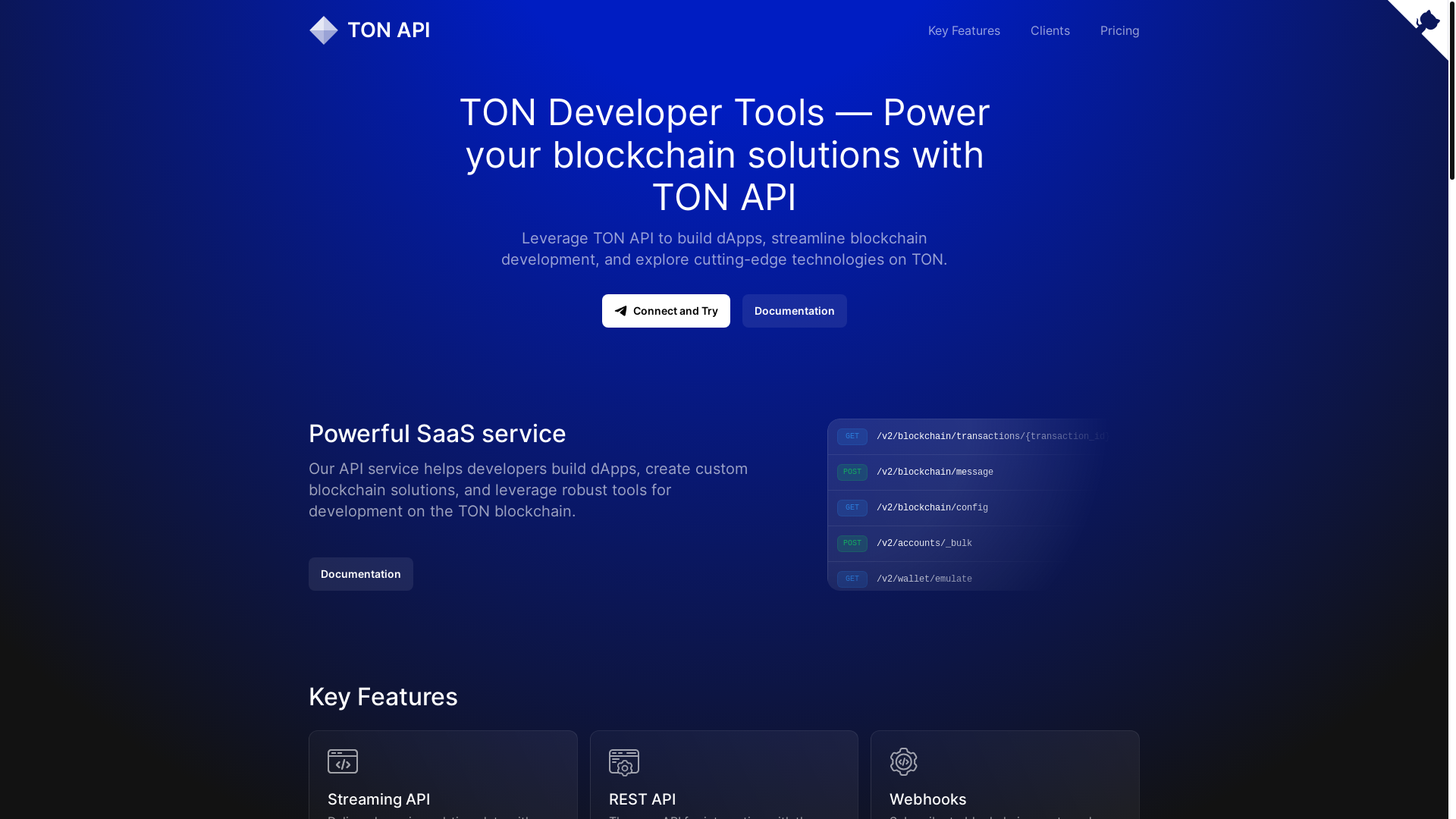 website screenshot of https://tonapi.io
