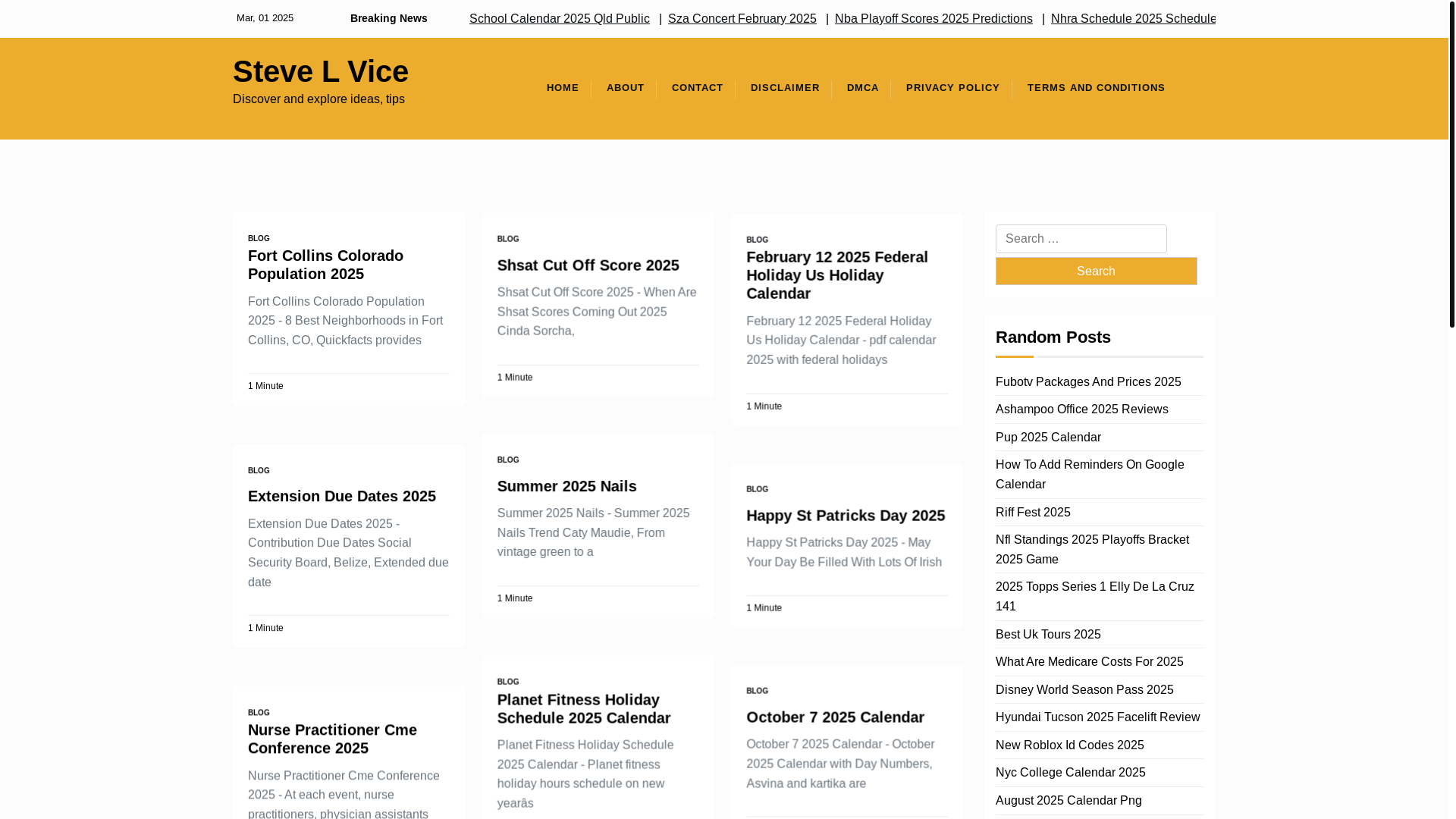 website screenshot of https://stevelvicer.pages.dev/