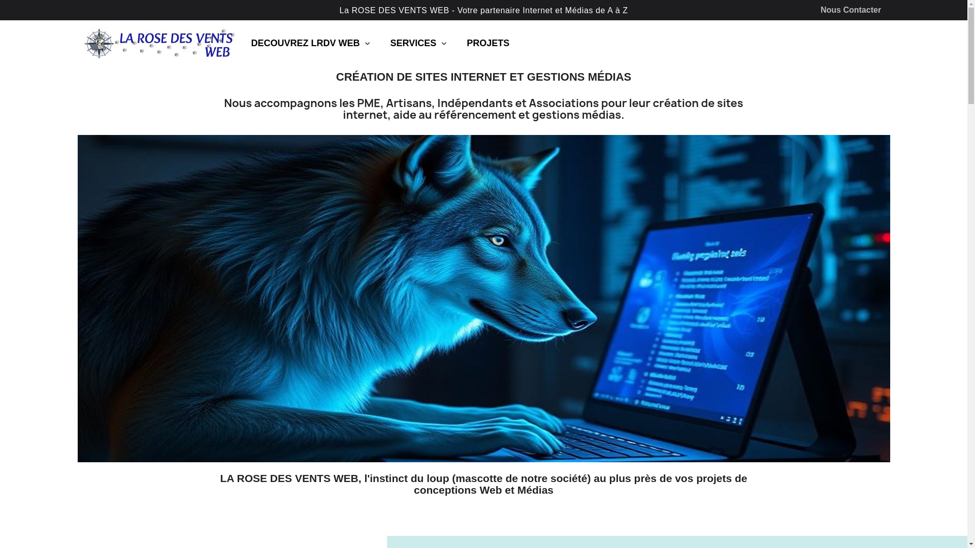 website screenshot of https://lrdvweb.fr/