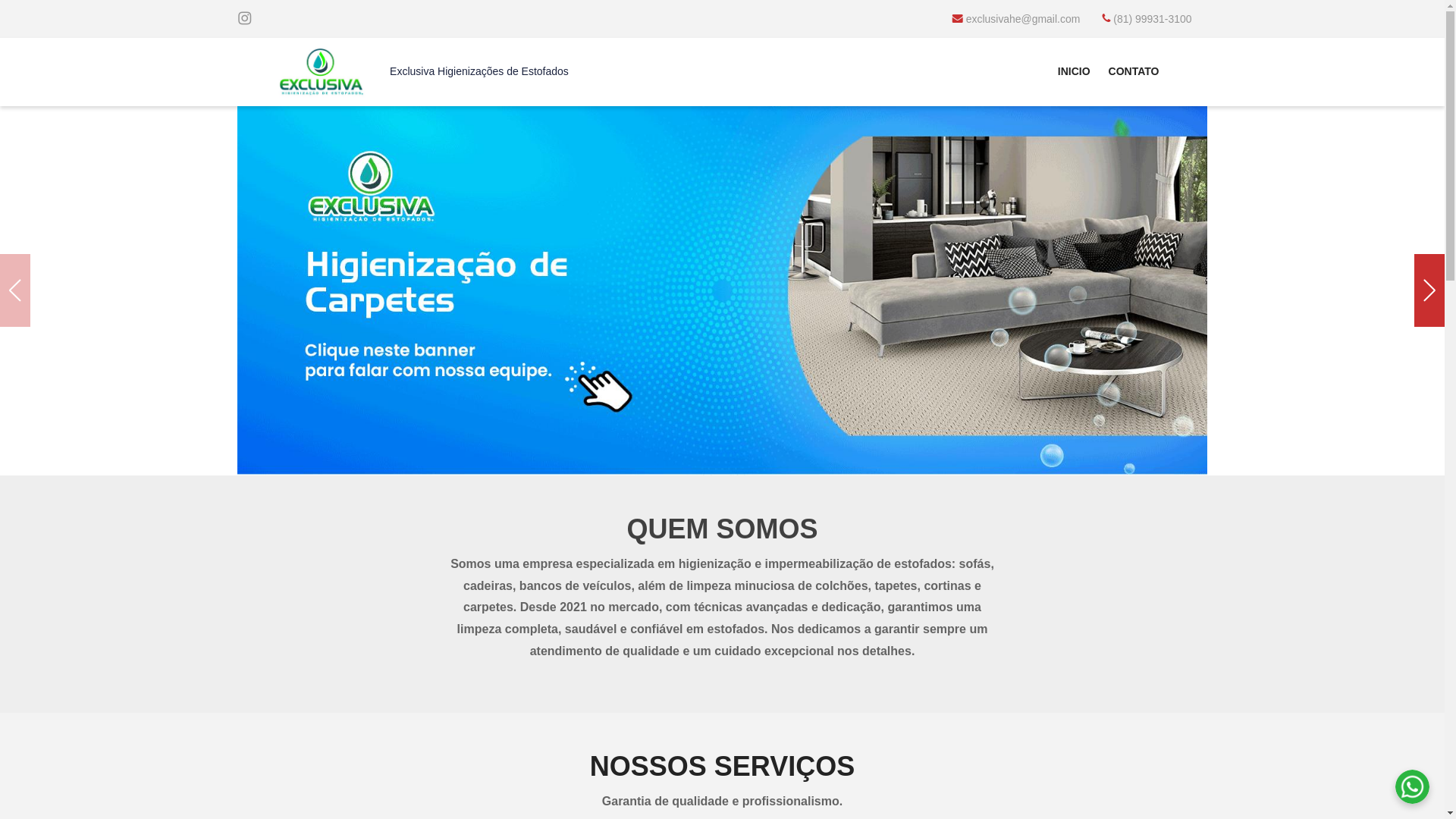 website screenshot of https://exclusivahigienizacoes.com.br/