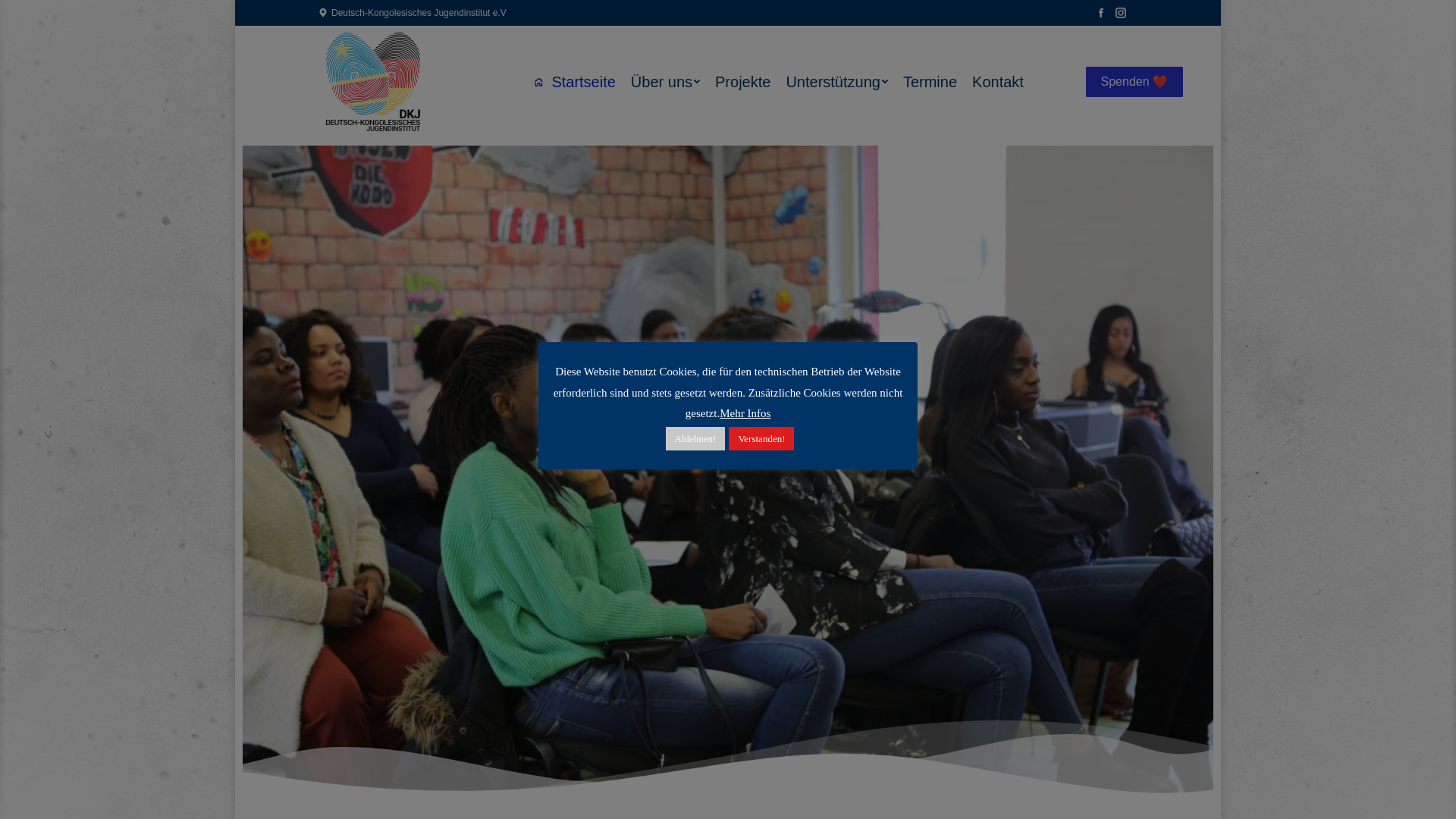 website screenshot of https://dk-institut.org/