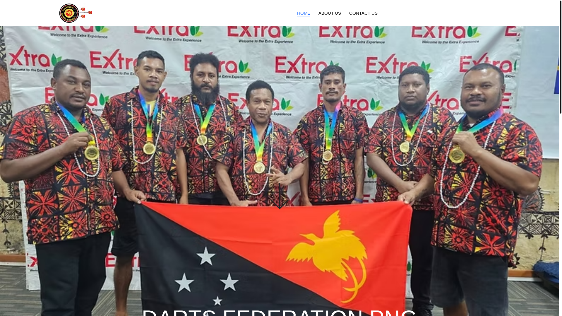 website screenshot of https://dartpng.org/