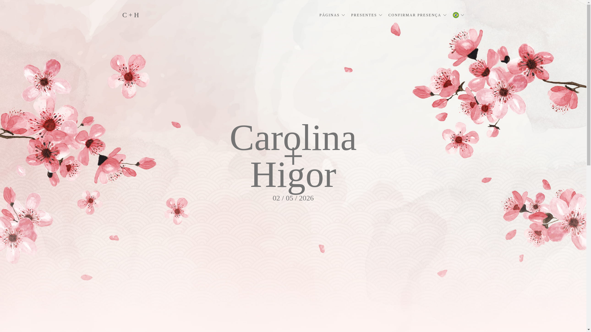 website screenshot of https://carolinaehigor.com.br/