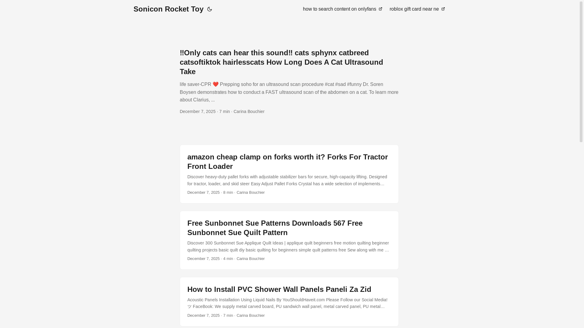 website screenshot of https://soniconrockettoy.pages.dev/