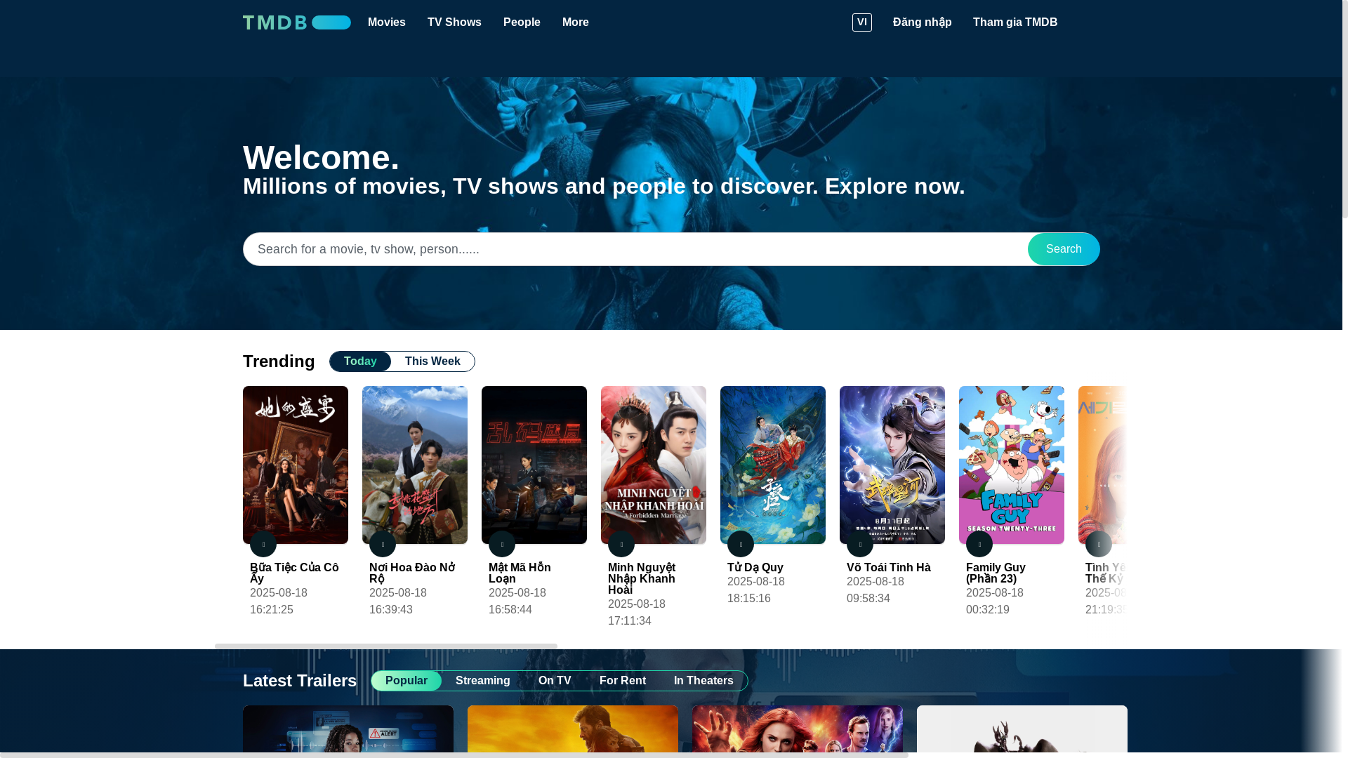 website screenshot of https://vietnameseromancefilm.com/