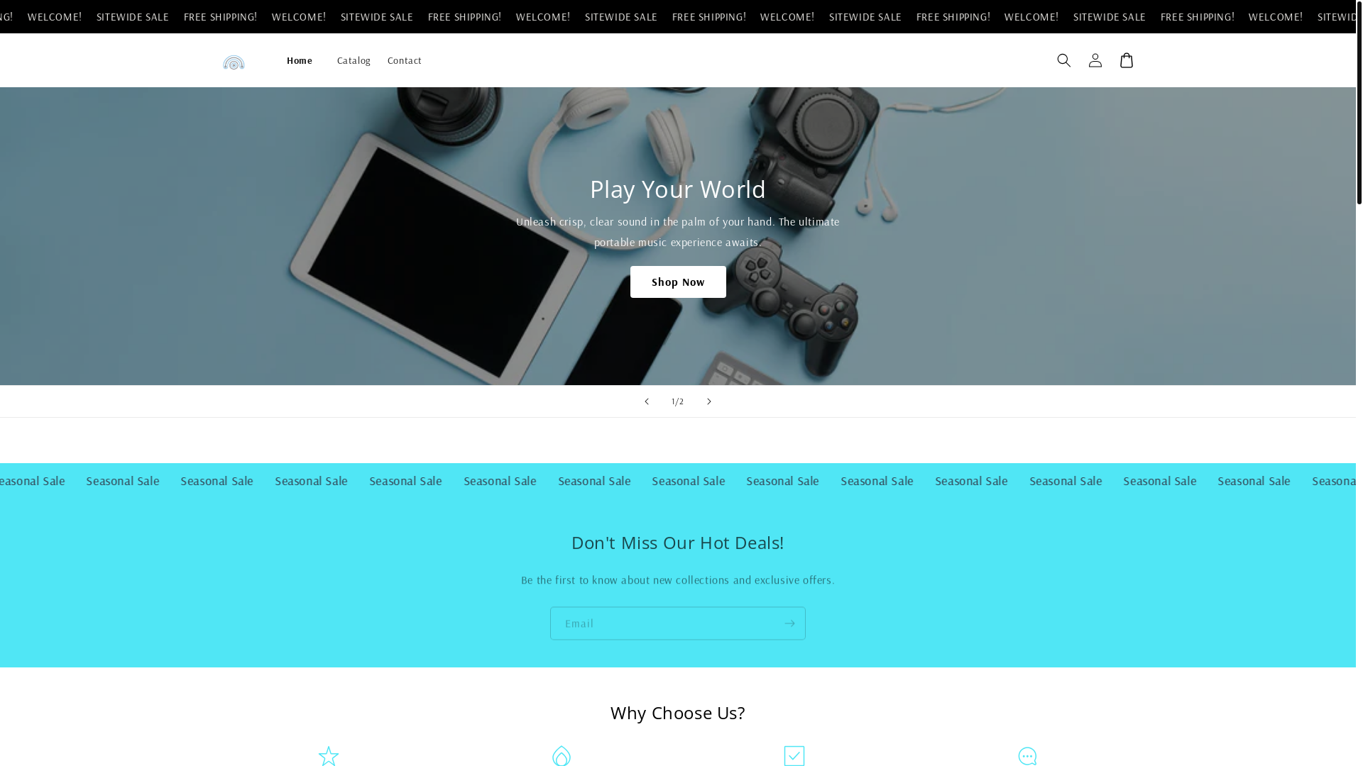 website screenshot of https://technologyngadgets.store/