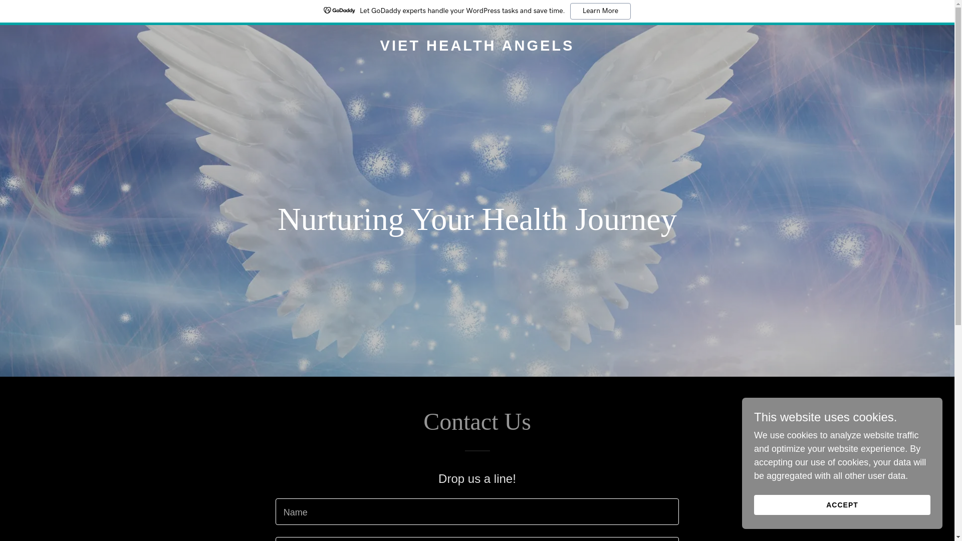 website screenshot of https://viethealthangels.com/