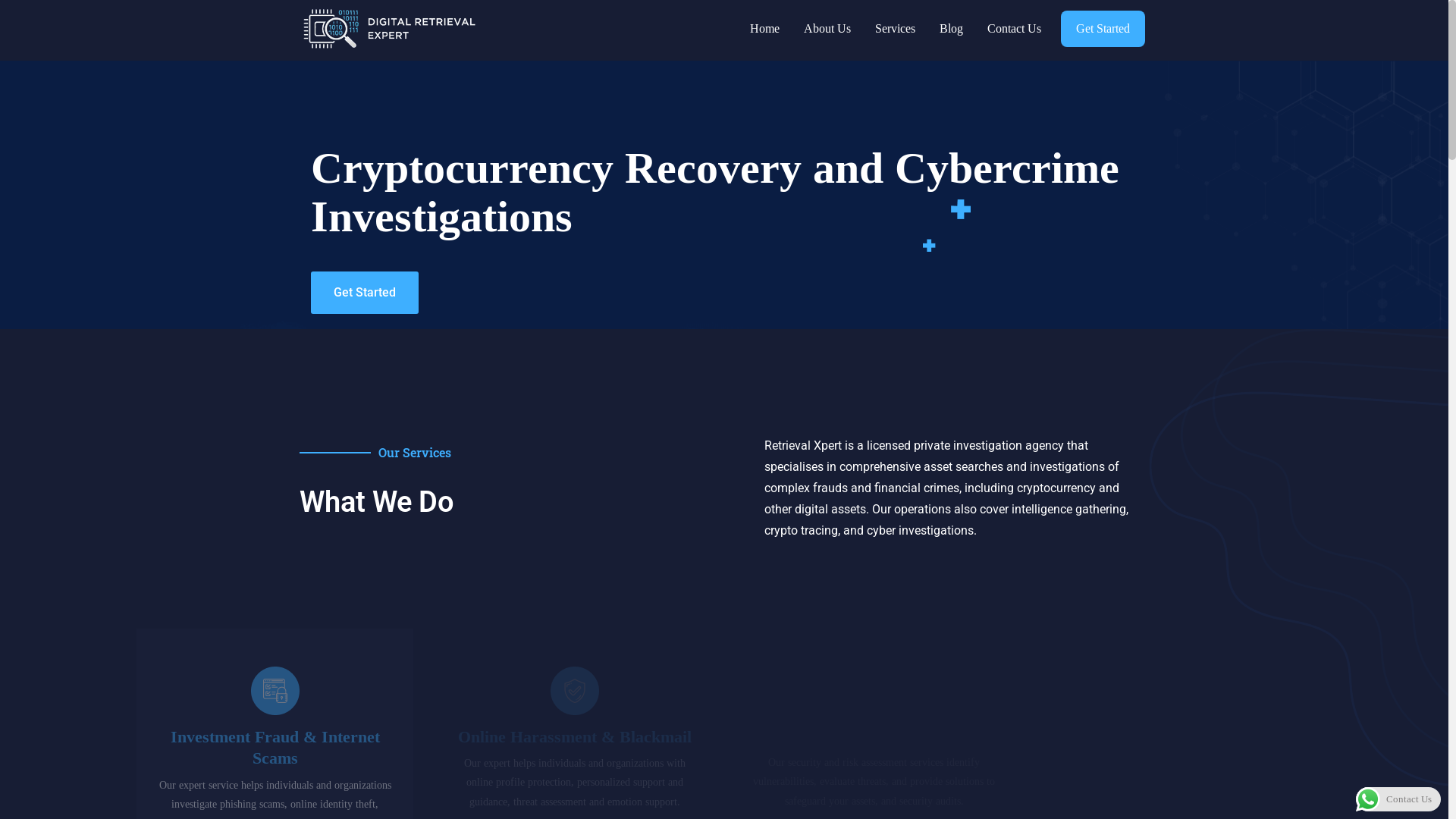 website screenshot of https://digitalretrieval.help/