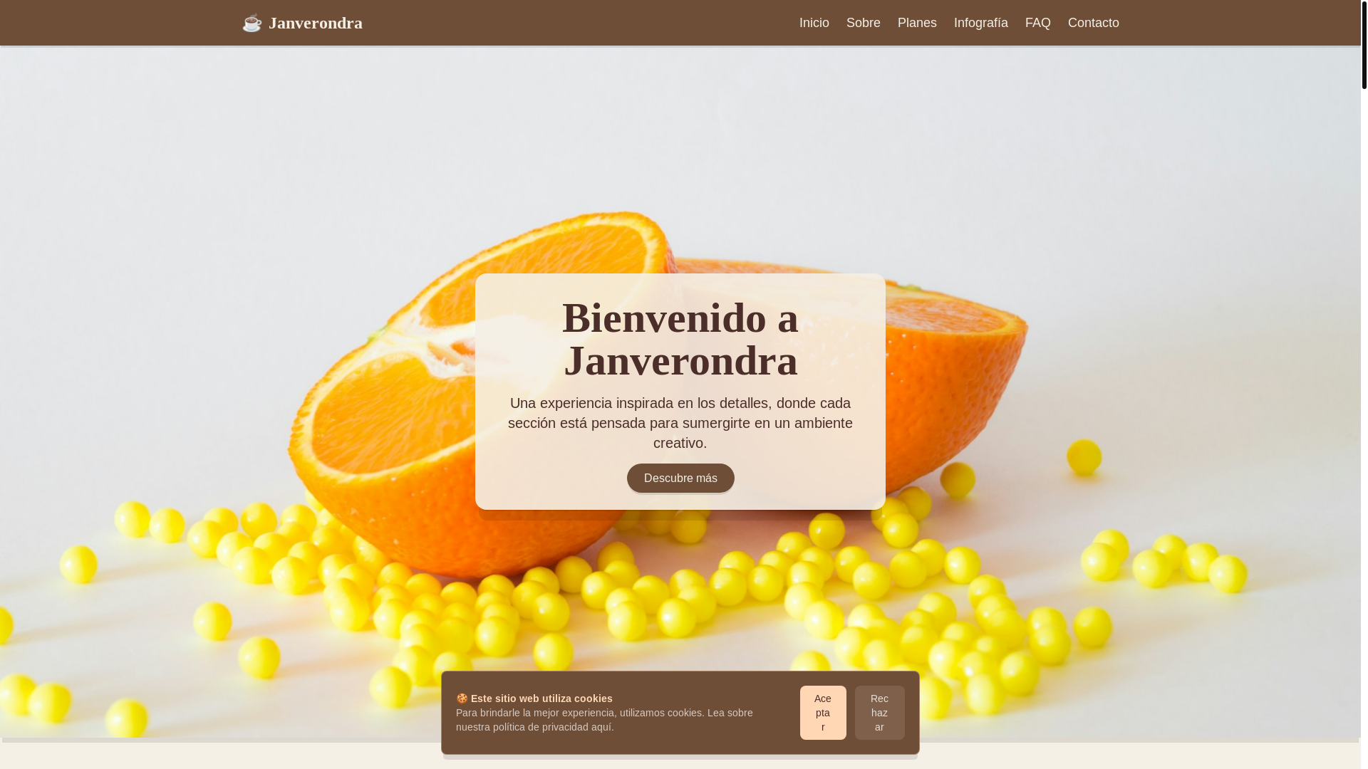 website screenshot of https://janverondra.eu/