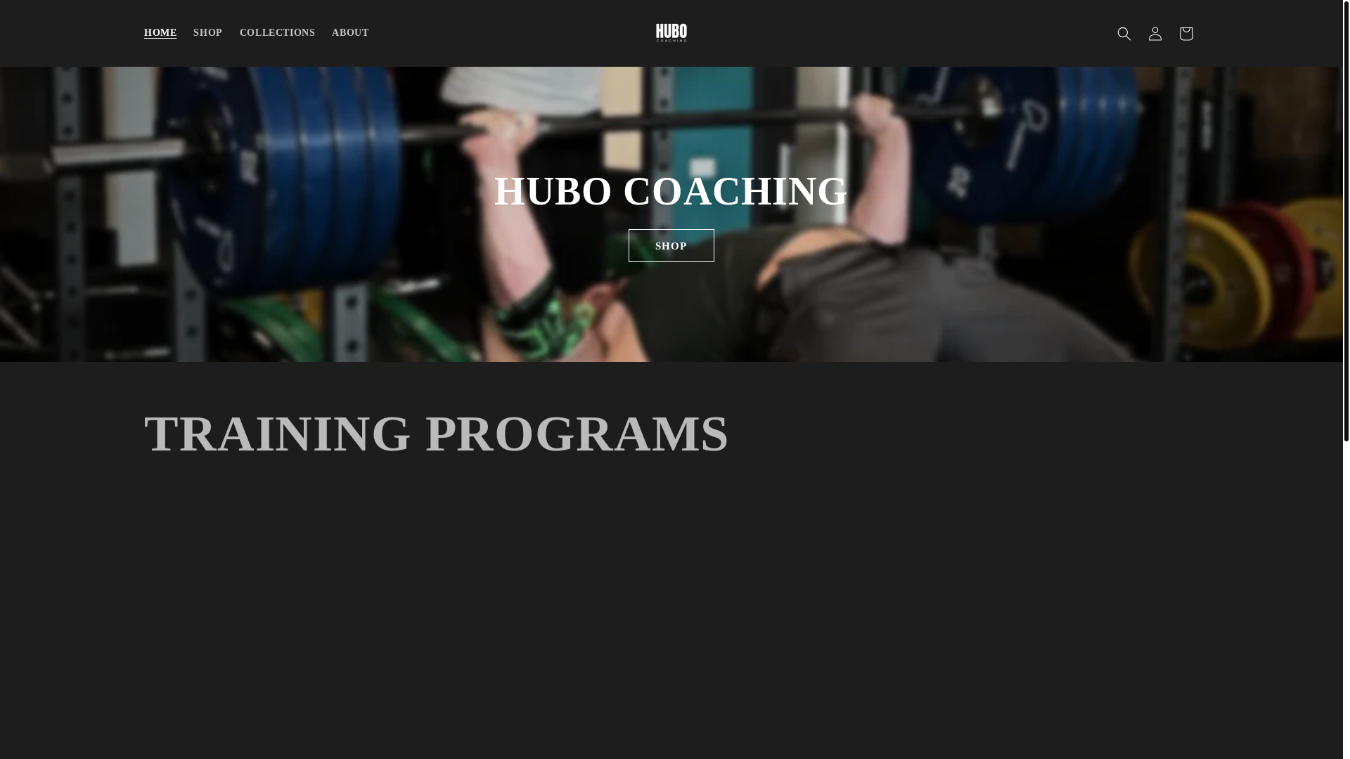 website screenshot of https://hubocoaching.com/