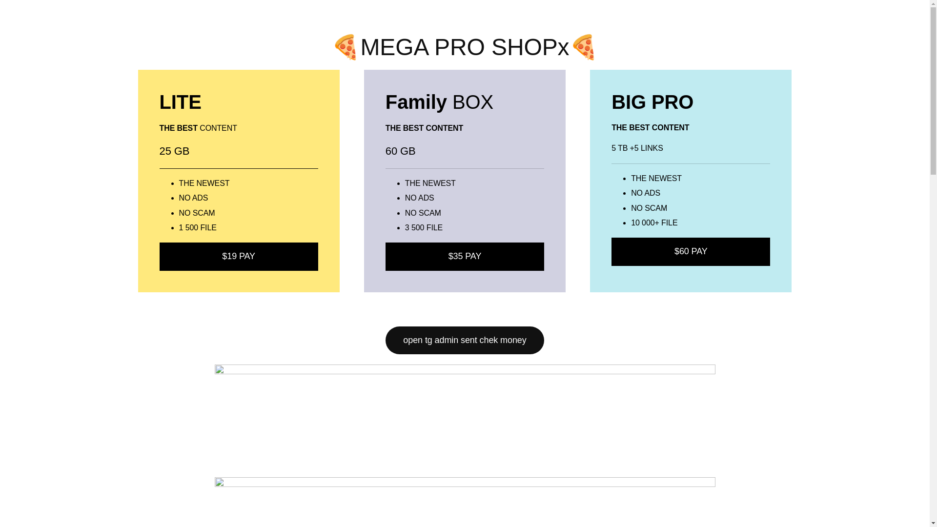 website screenshot of https://procktel.fun/