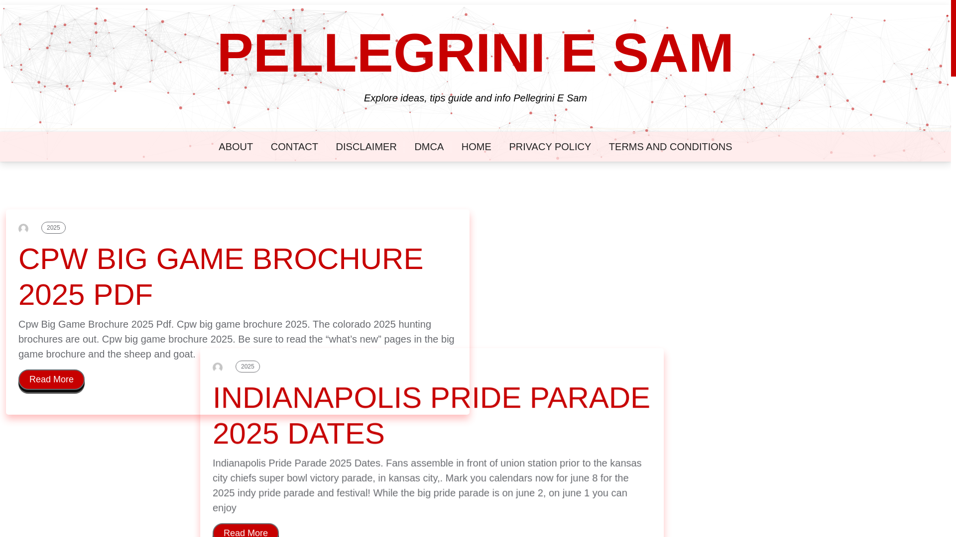 website screenshot of https://pellegriniesam.pages.dev/