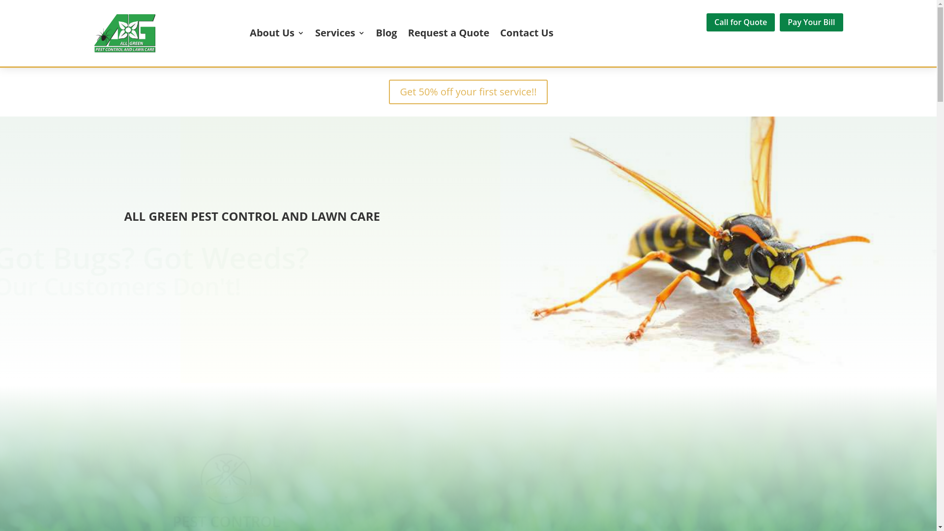 website screenshot of https://deliapullan.buzz/