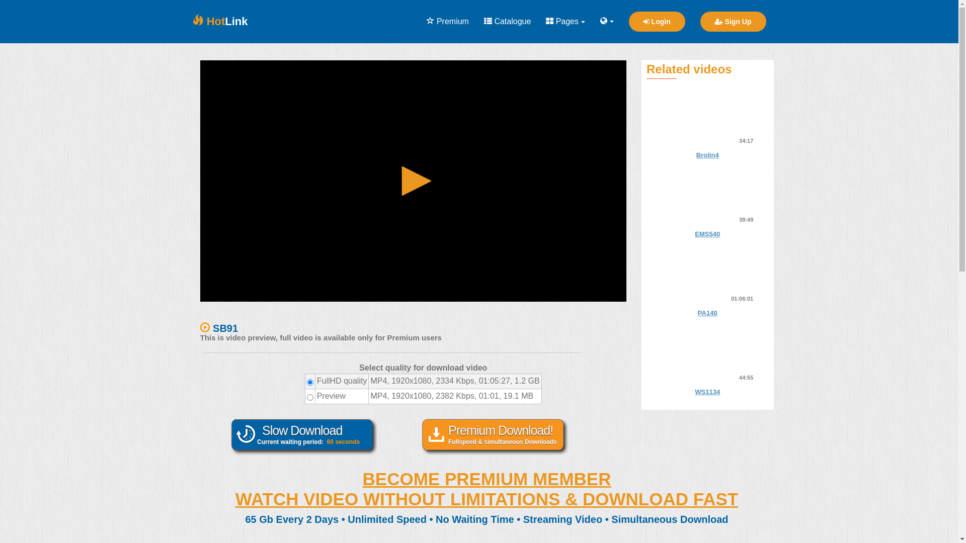 website screenshot of https://hotlink.cc/NND17RDUE6U7/SB91.html