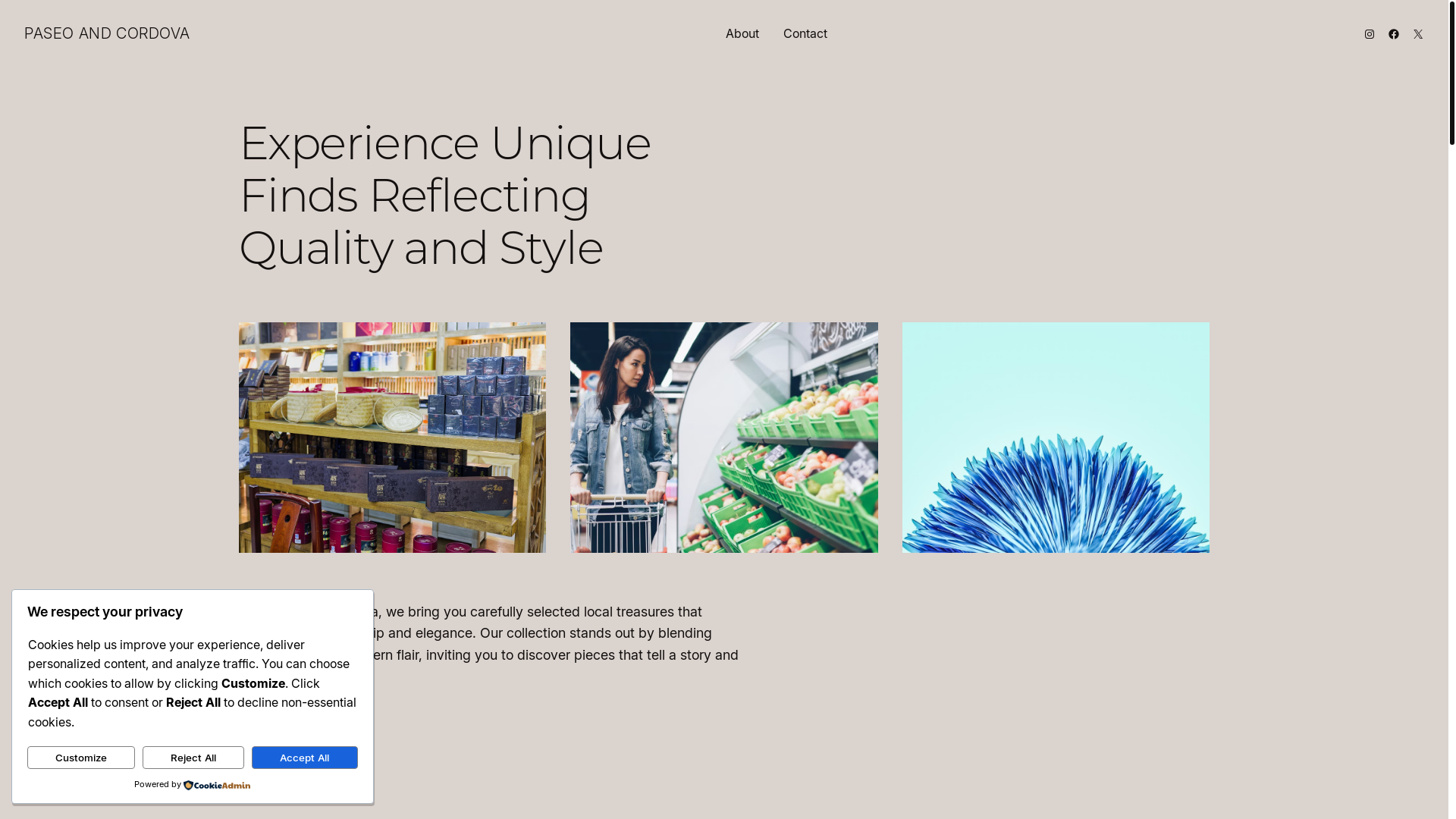 website screenshot of https://paseoandcordova.com/