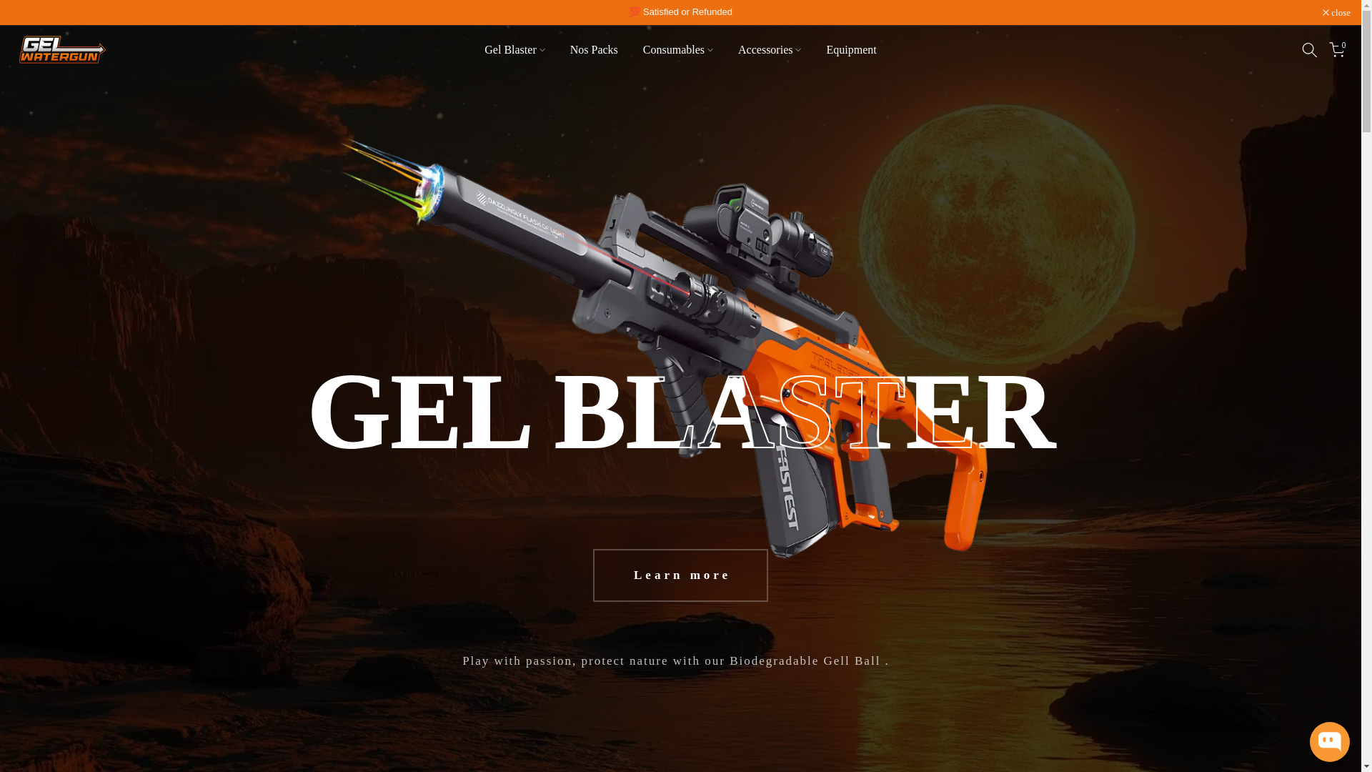 website screenshot of https://gelwatergun.nl/