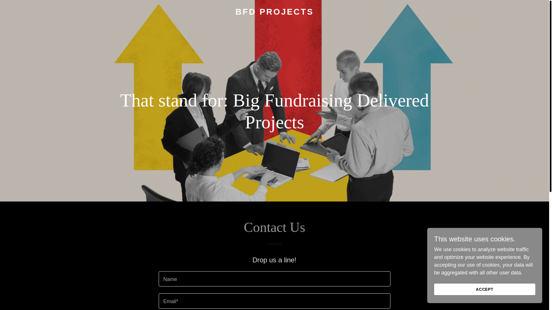 website screenshot of https://bfdprojects.com/