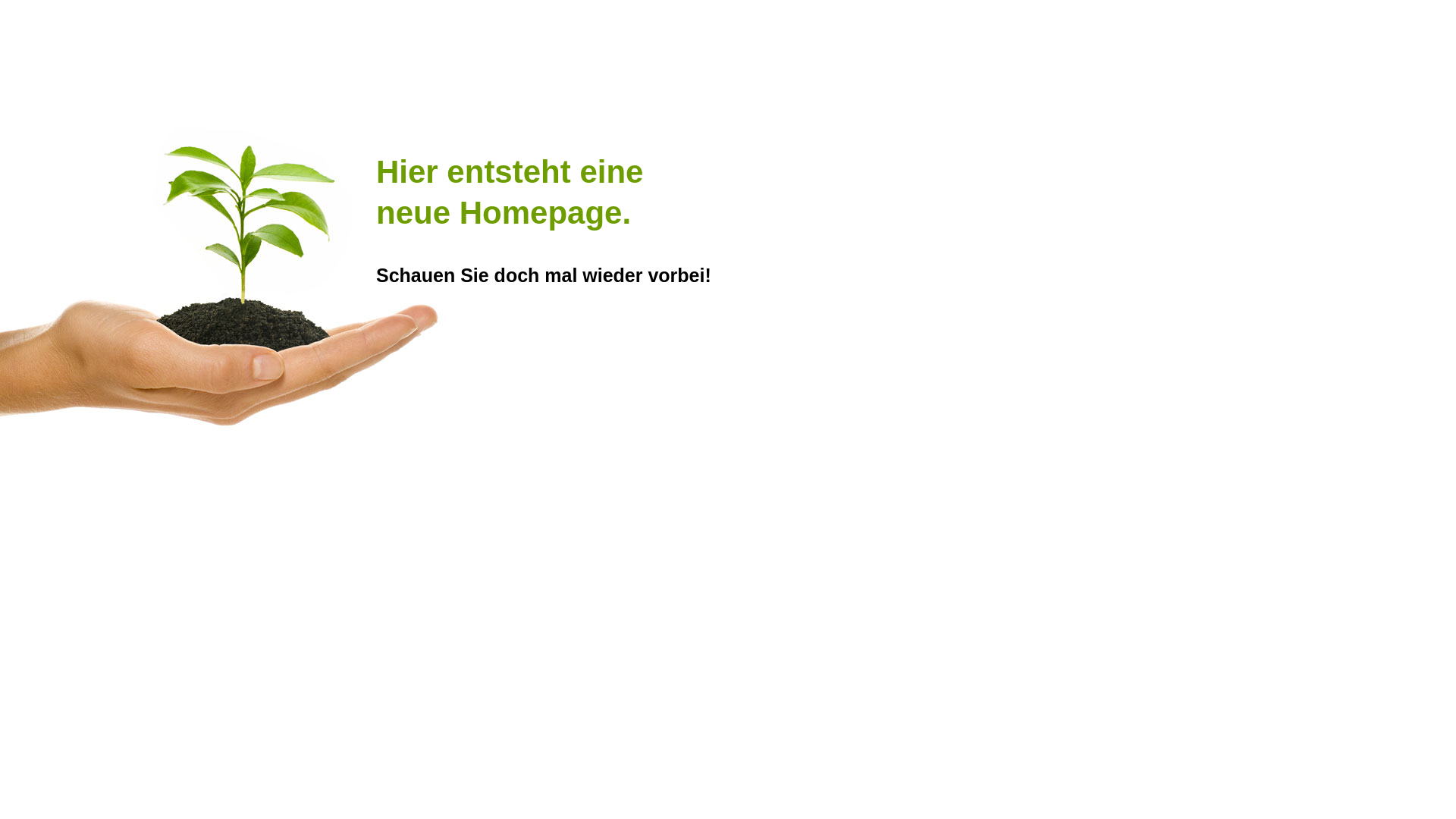 website screenshot of https://plameco-hessen.de/