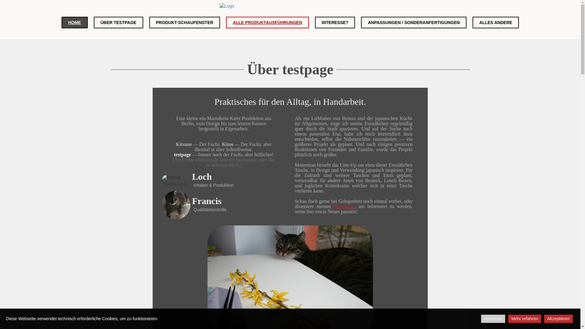 website screenshot of https://test-ubg.pages.dev/