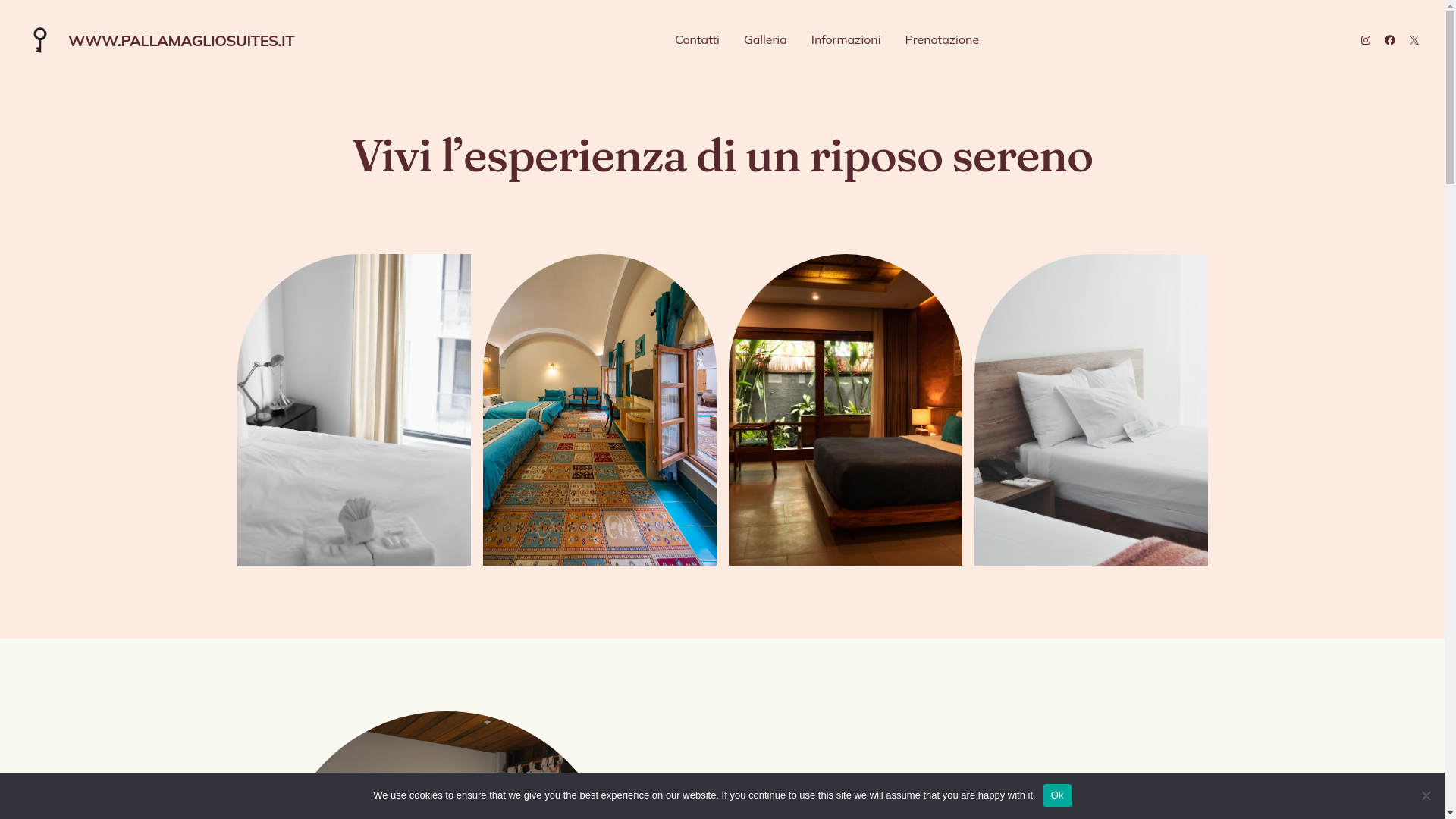 website screenshot of https://pallamagliosuites.it/