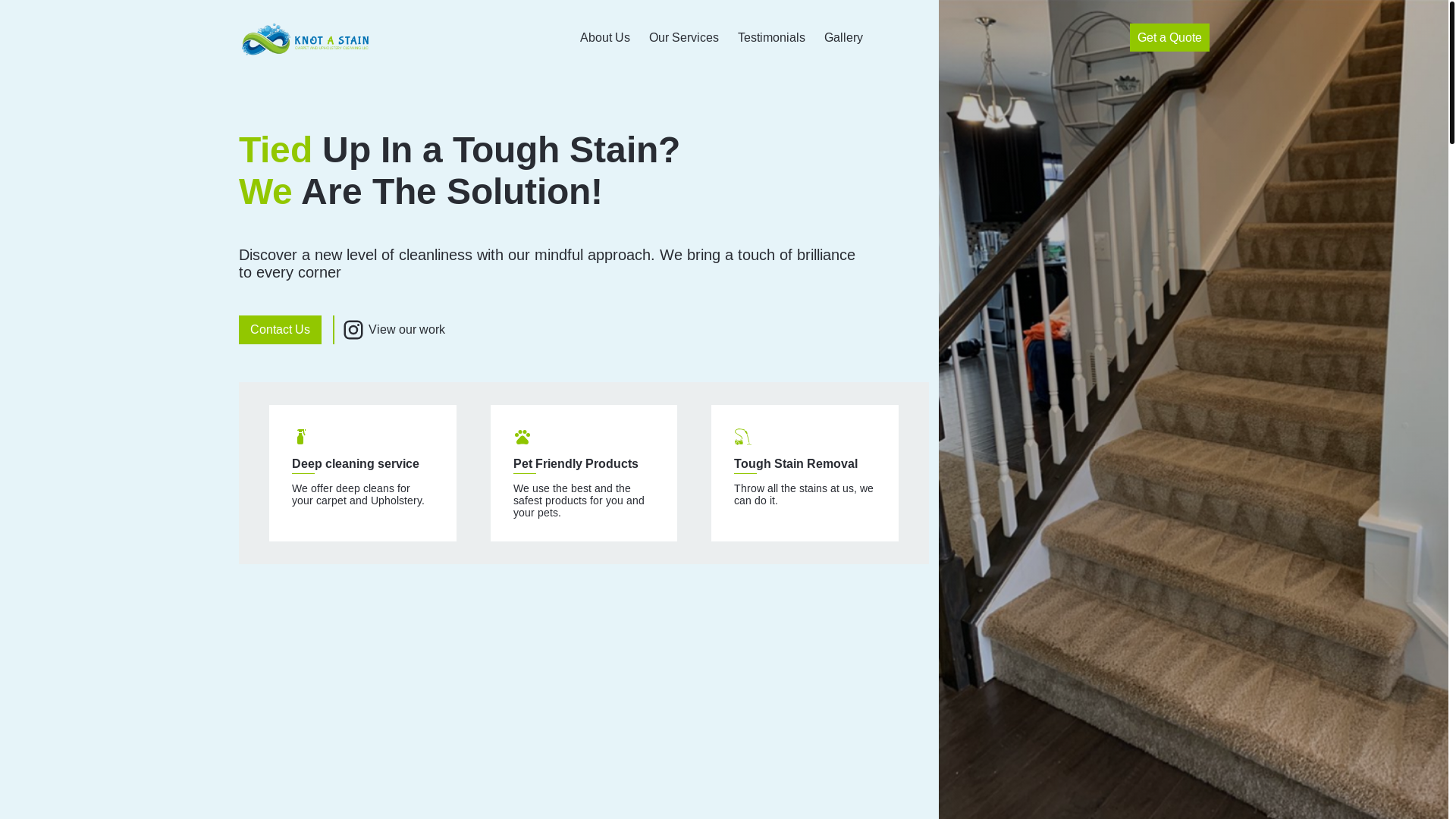website screenshot of https://knotastain.com/