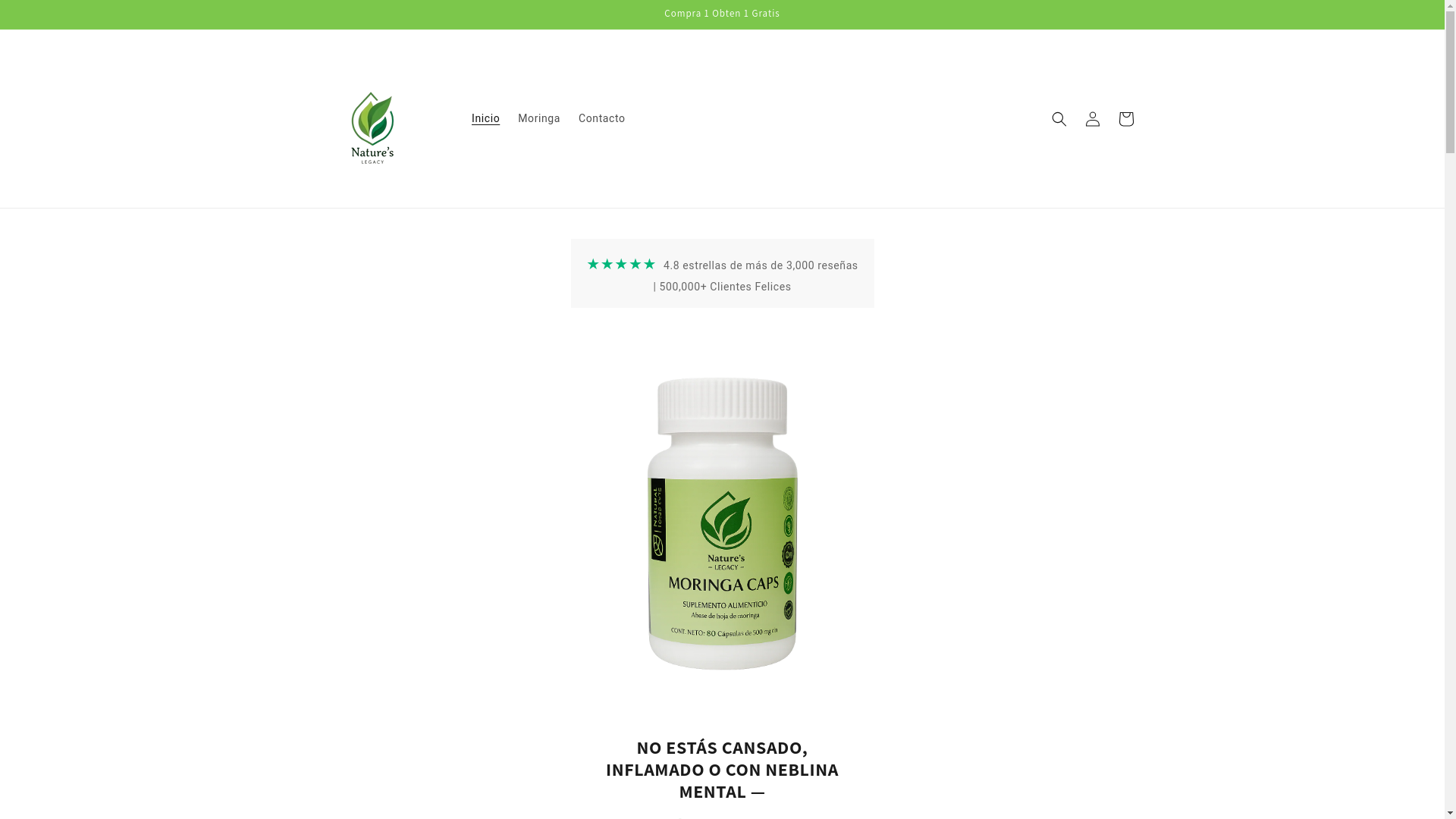 website screenshot of https://naturalegacy.com.mx/