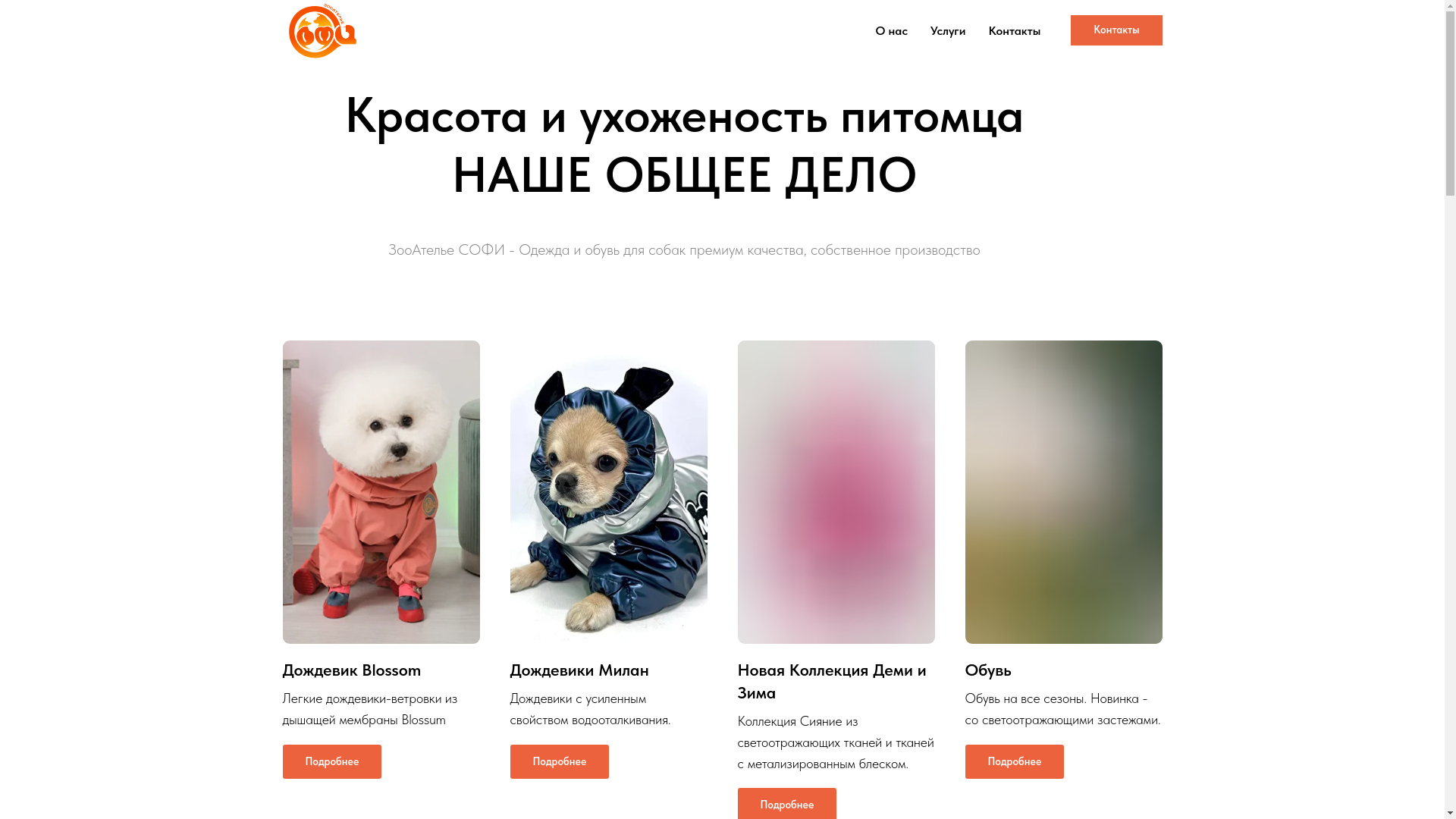 website screenshot of https://sofipartner.ru/