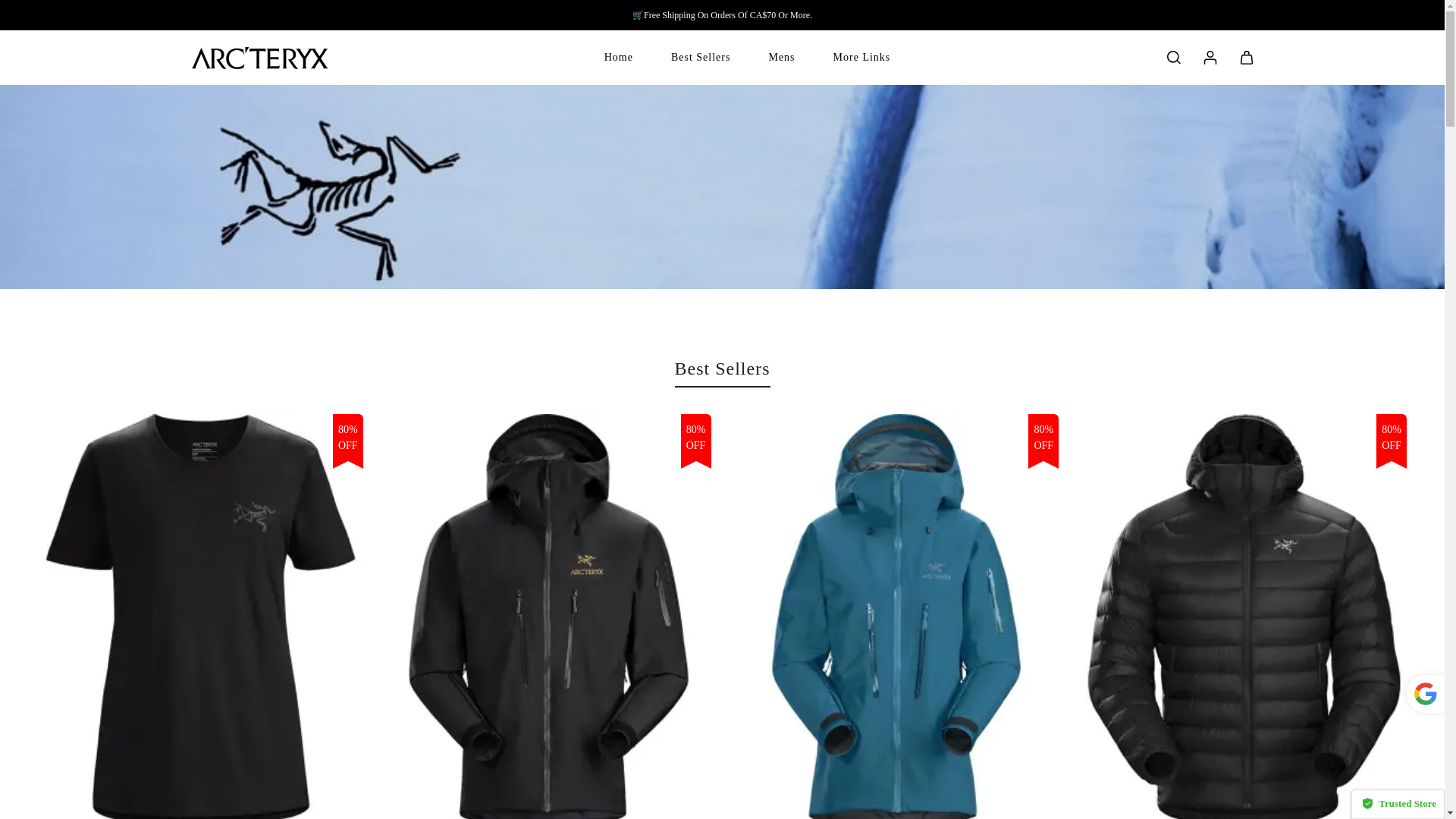 website screenshot of http://www.storeflashdelivery.com/