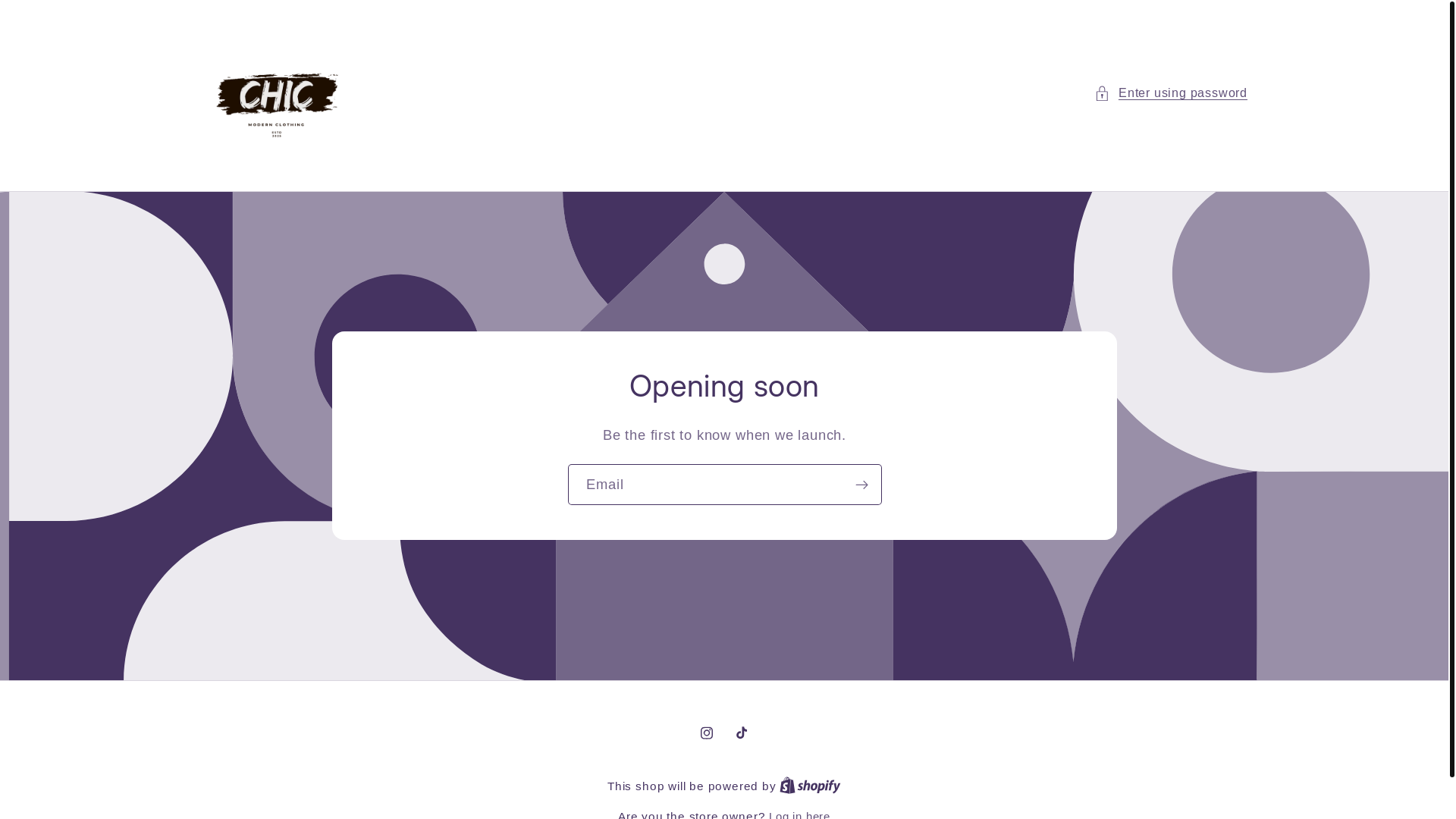 website screenshot of https://chiccurve.net/