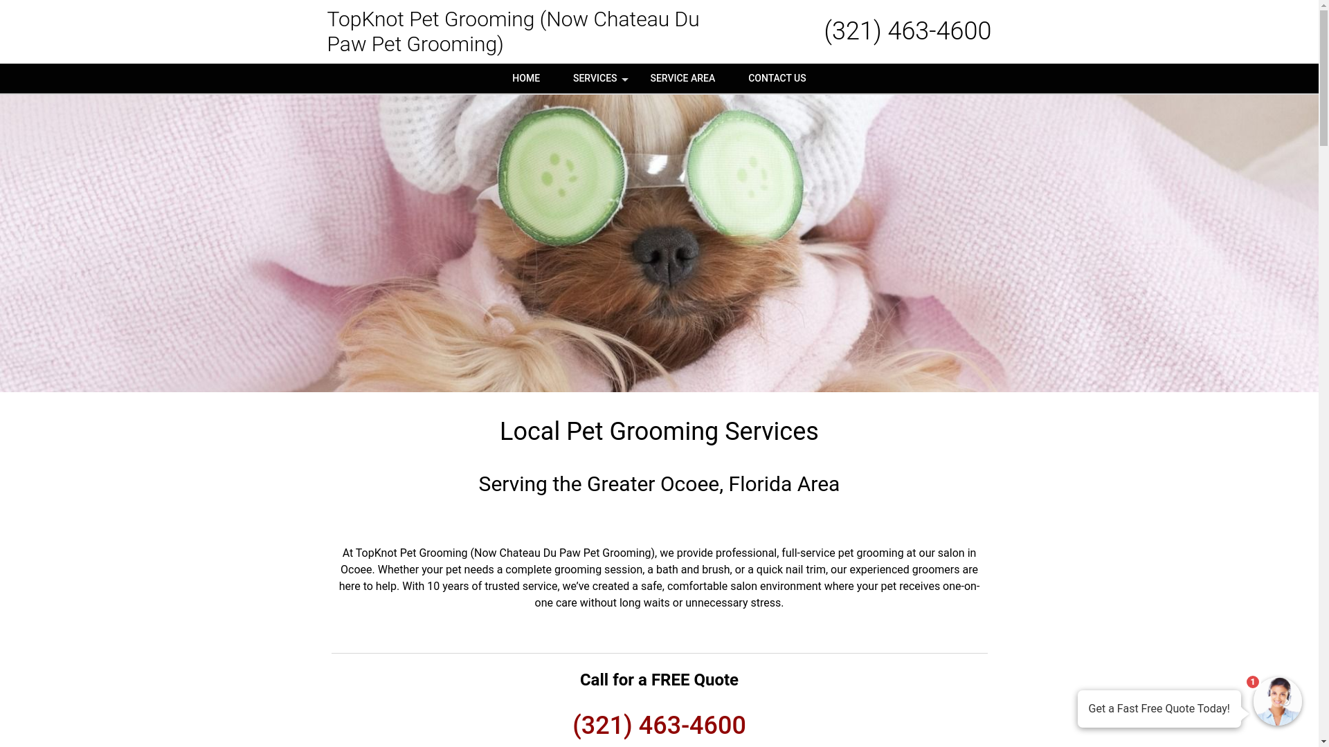 website screenshot of https://chateau-du-paw.com/