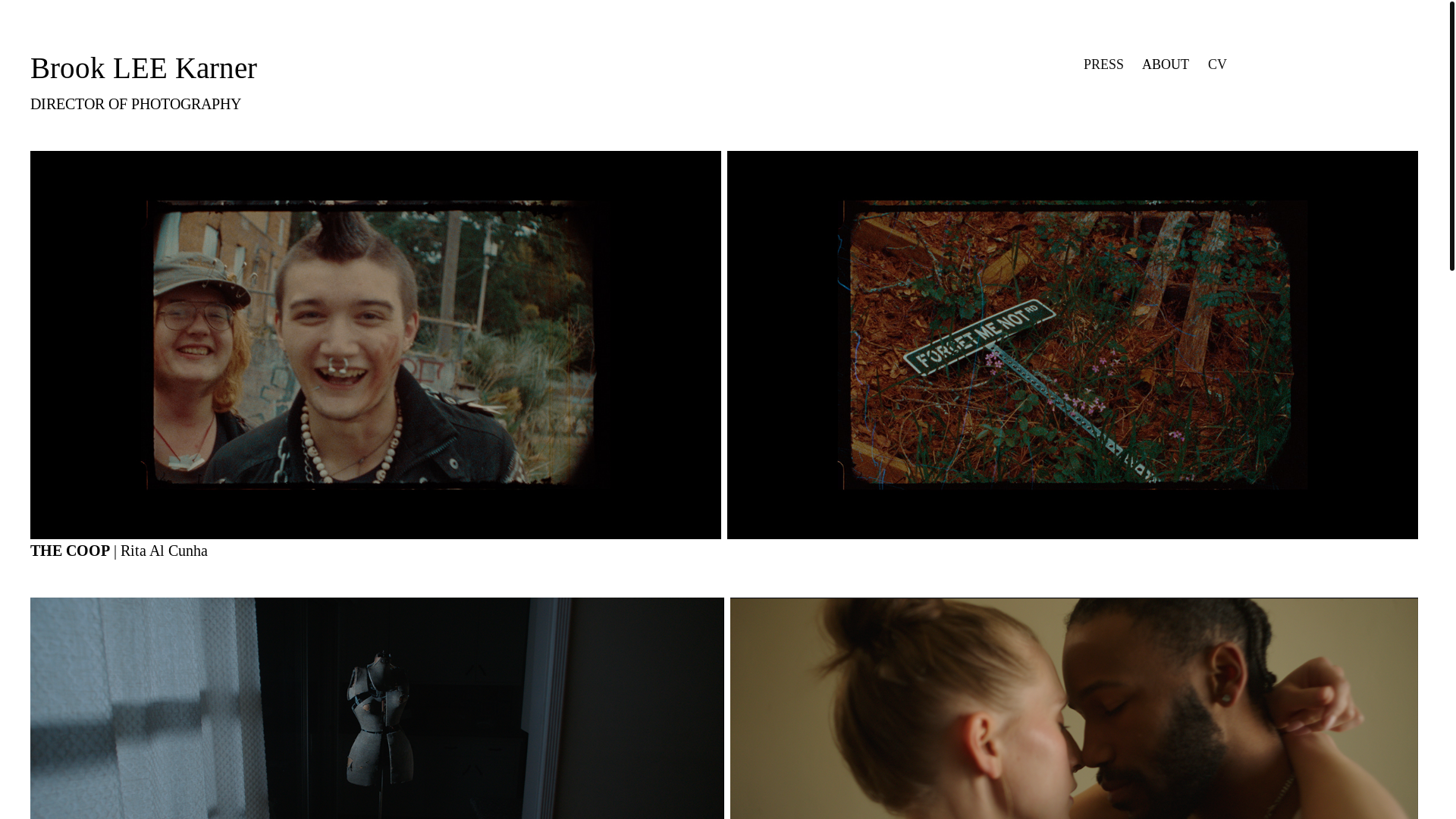 website screenshot of https://brookleekarner.com/