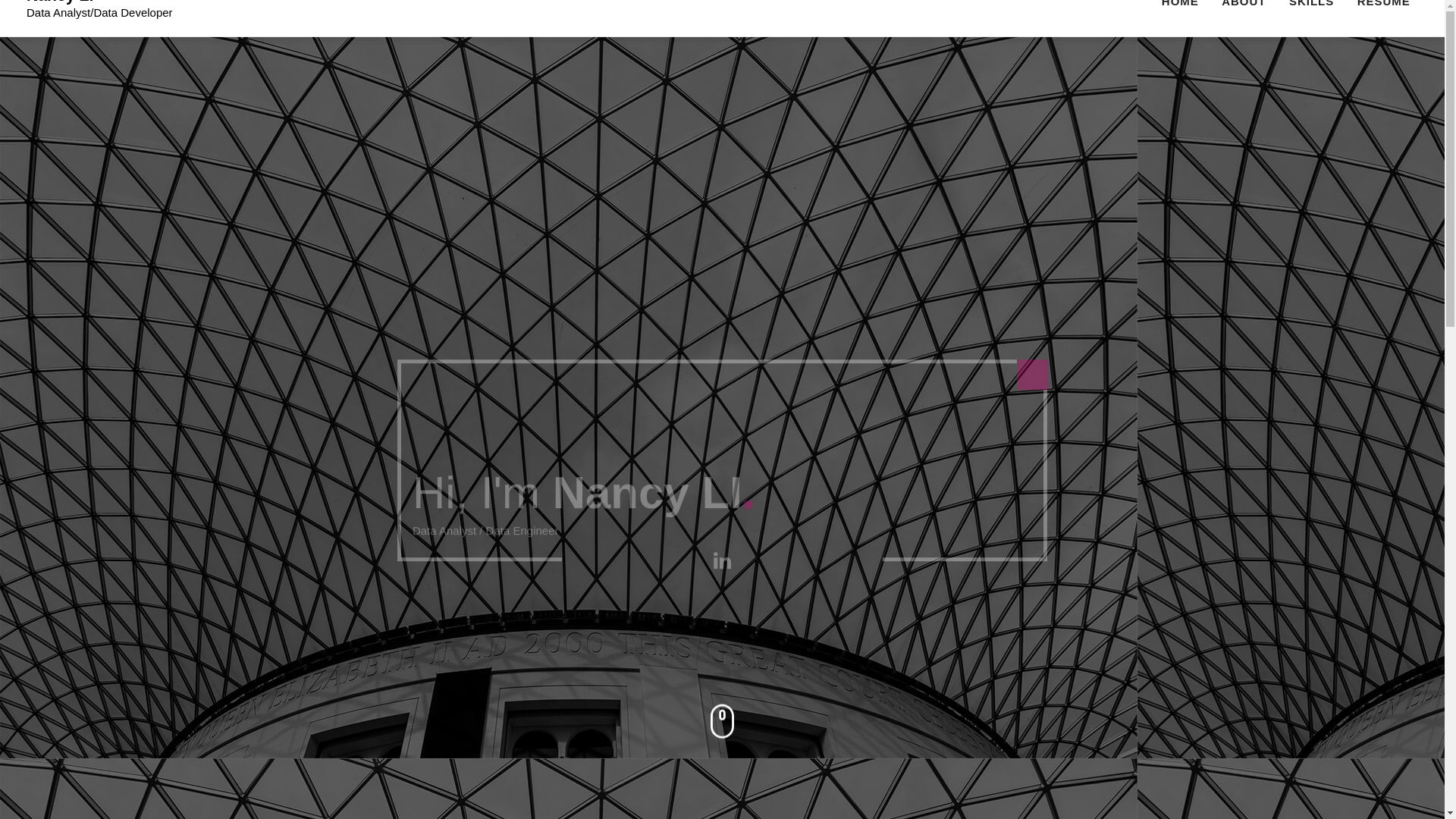 website screenshot of https://nancyliprofile.win/