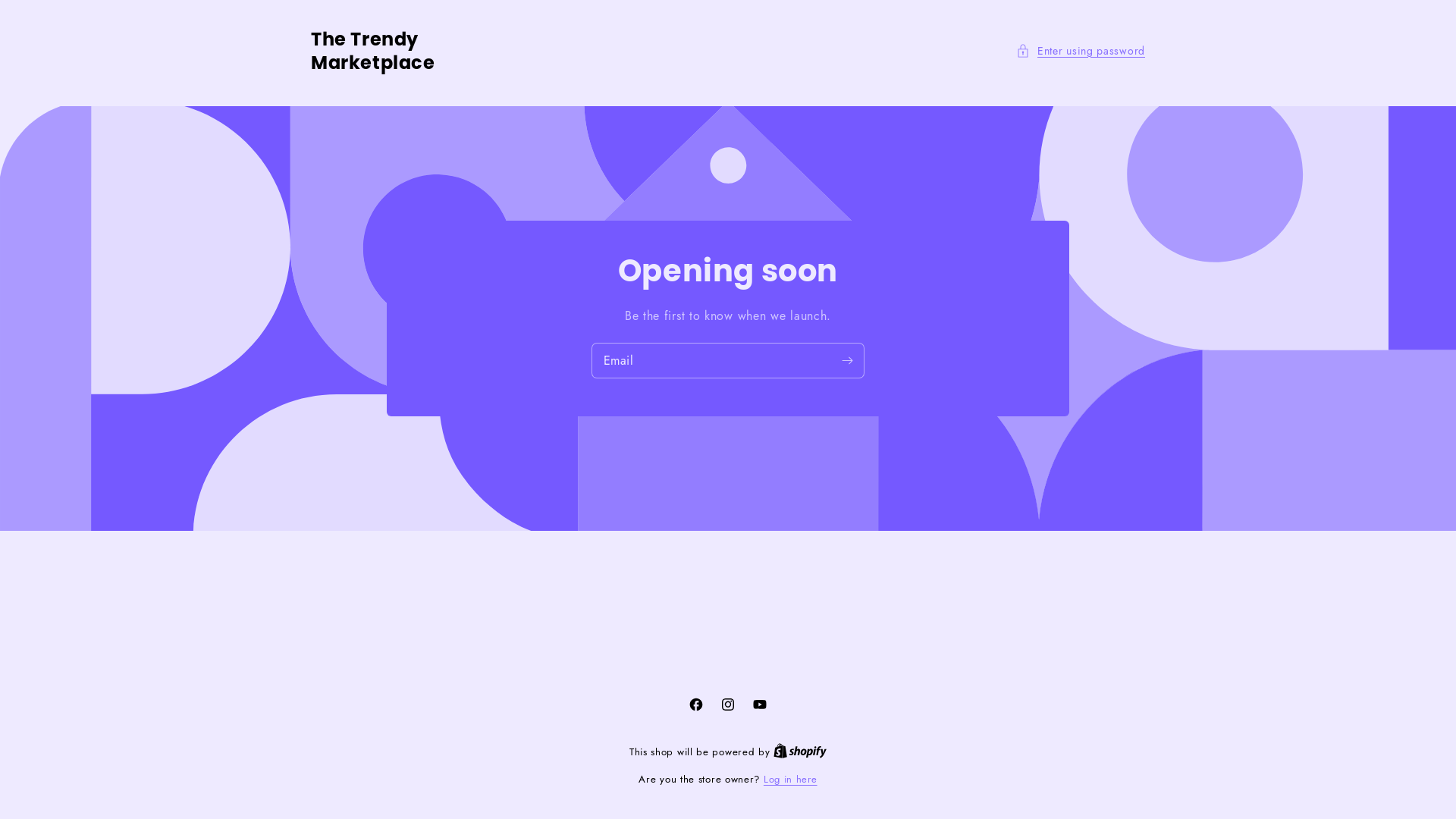 website screenshot of https://thetrendymarketplacestore.store/