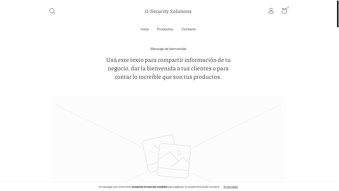 website screenshot of https://gsecuritysolutions.store/