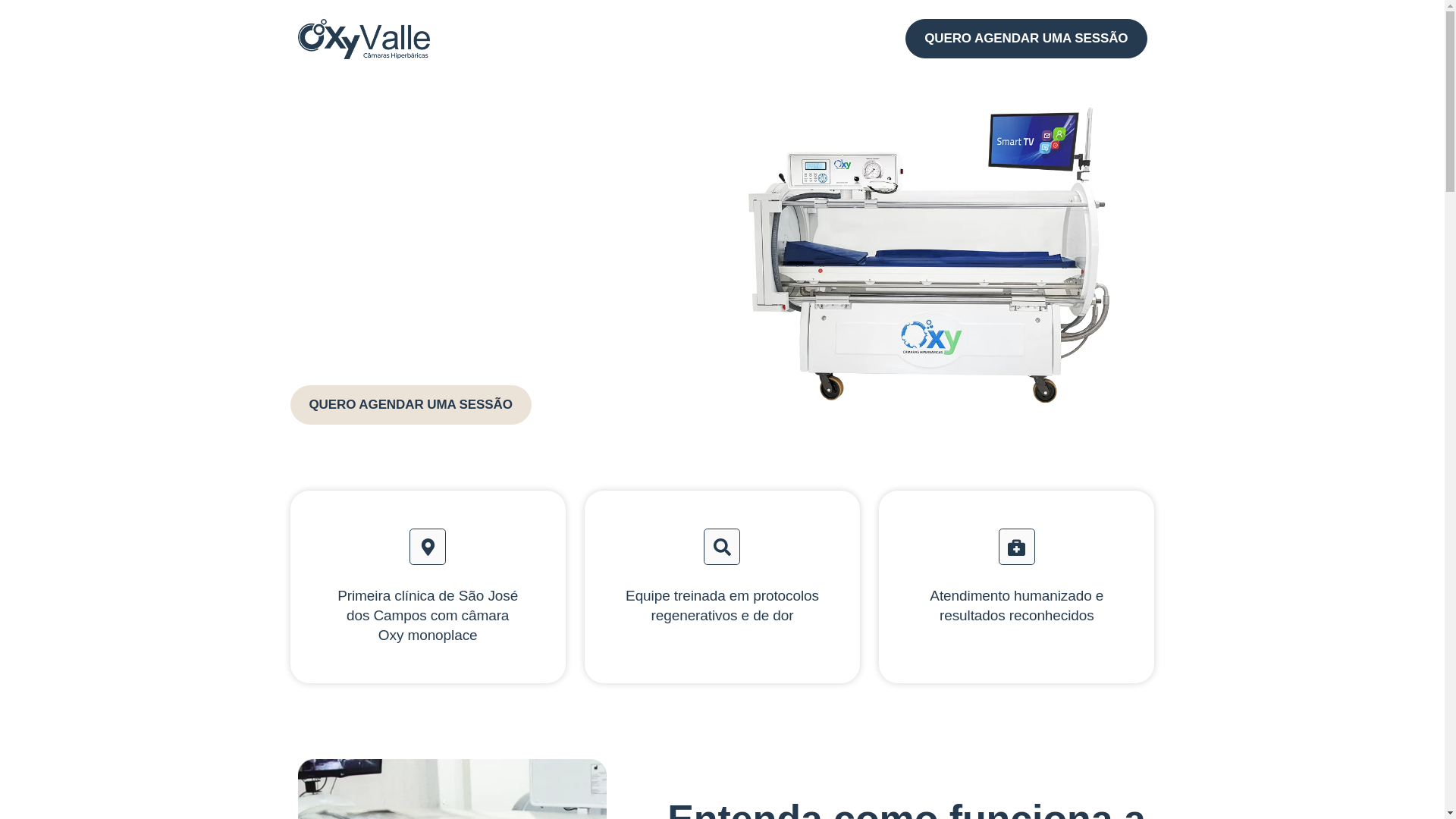 website screenshot of https://oxyvalle.com.br/