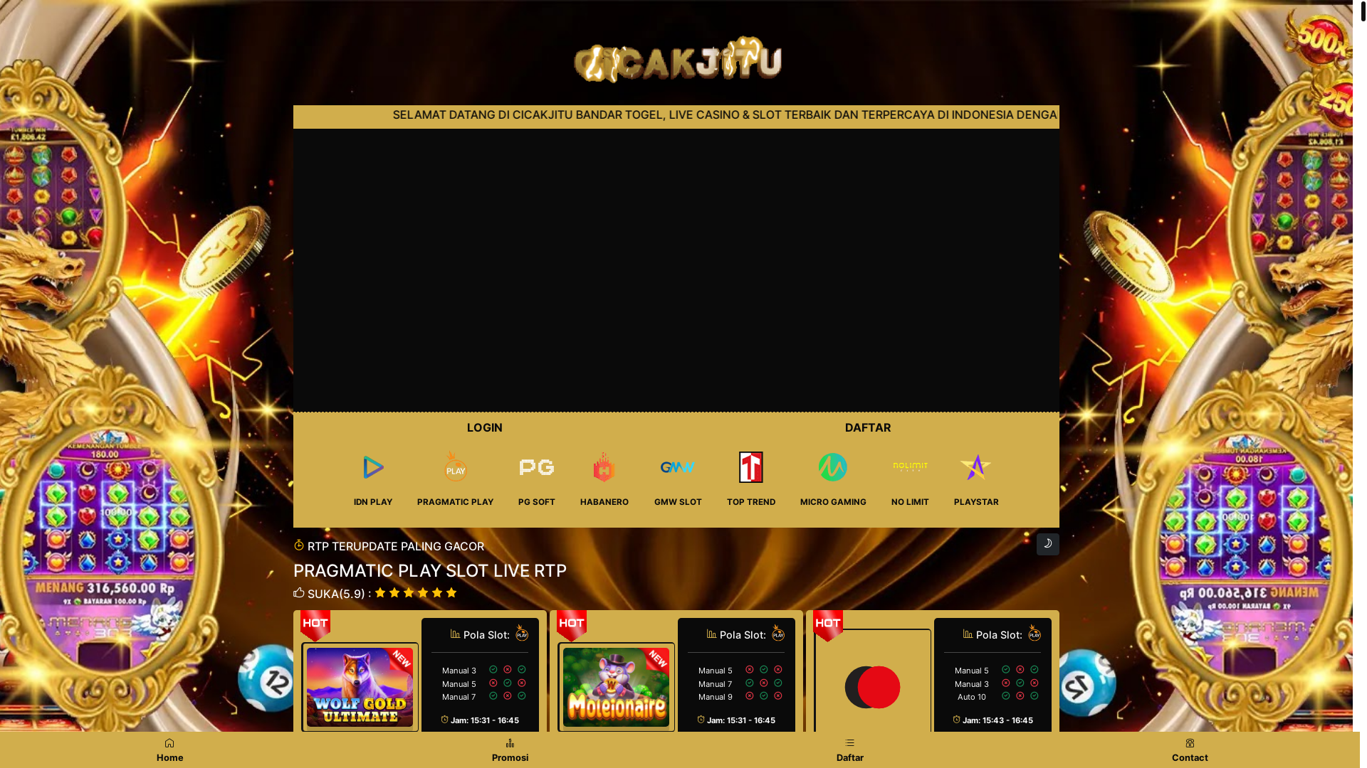 website screenshot of https://cicakrtp9.pages.dev/