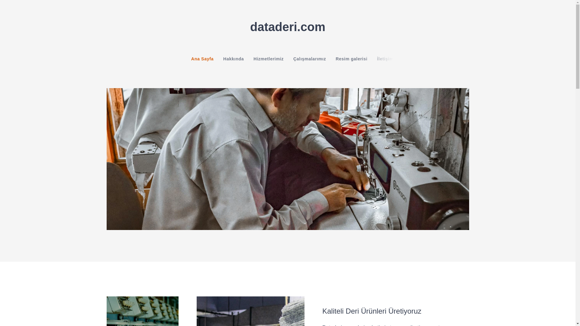 website screenshot of https://dataderi.com/