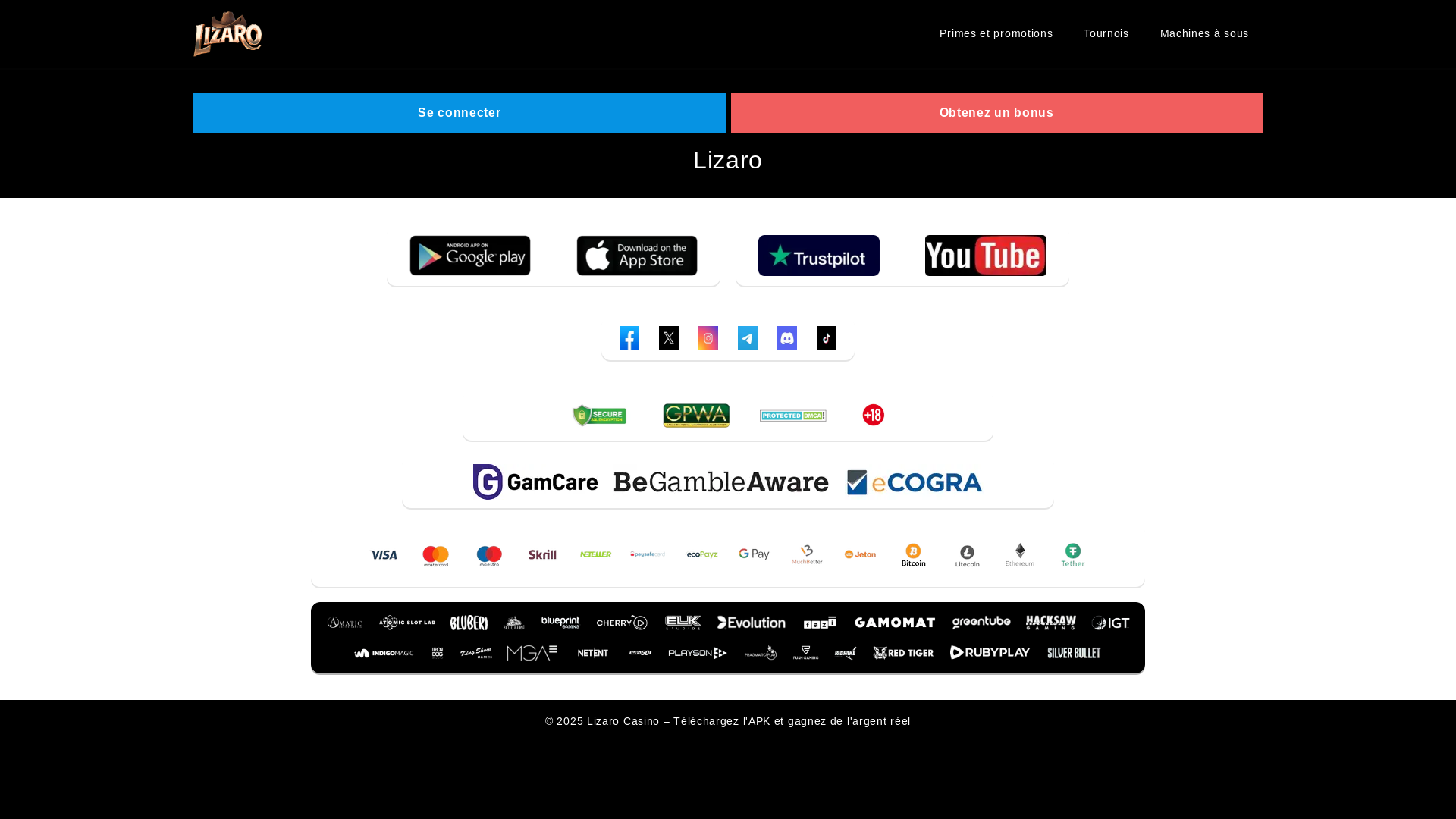 website screenshot of https://lizaro-france.com/