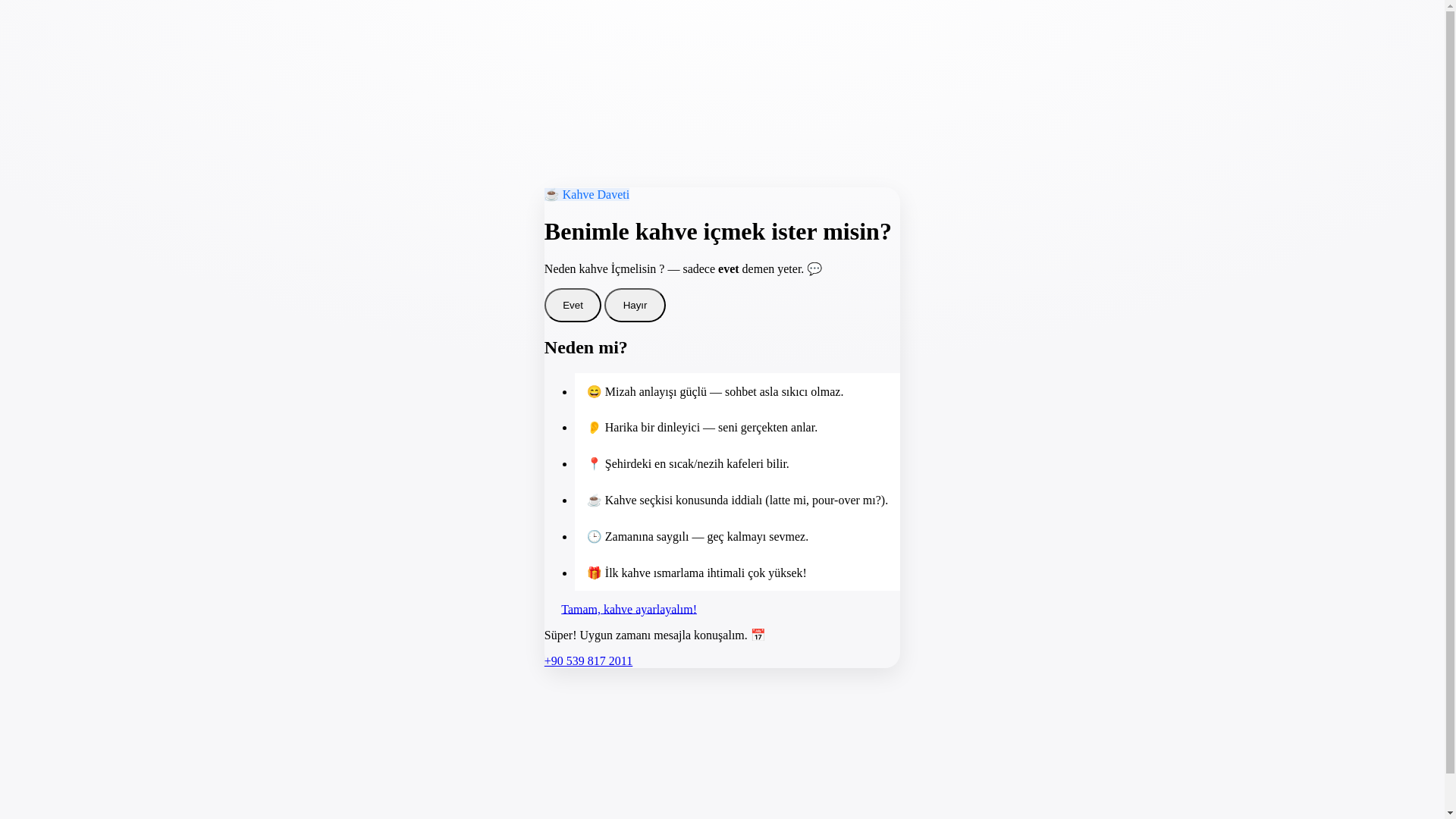 website screenshot of https://ilkgorusteask.online/