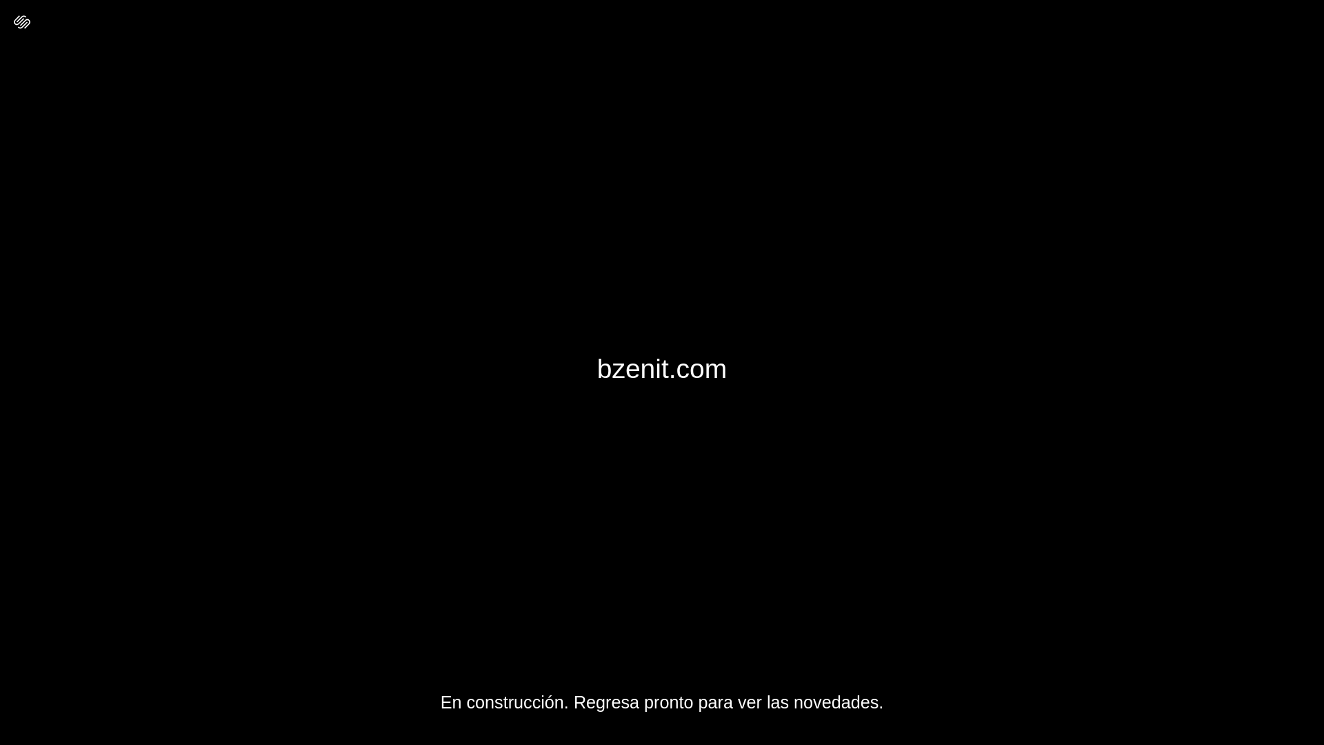 website screenshot of https://bzenit.com/