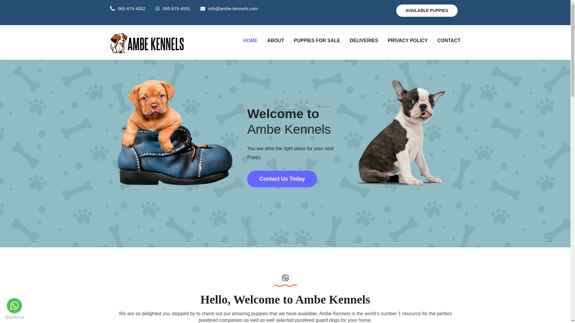 website screenshot of https://ambe-kennels.com/