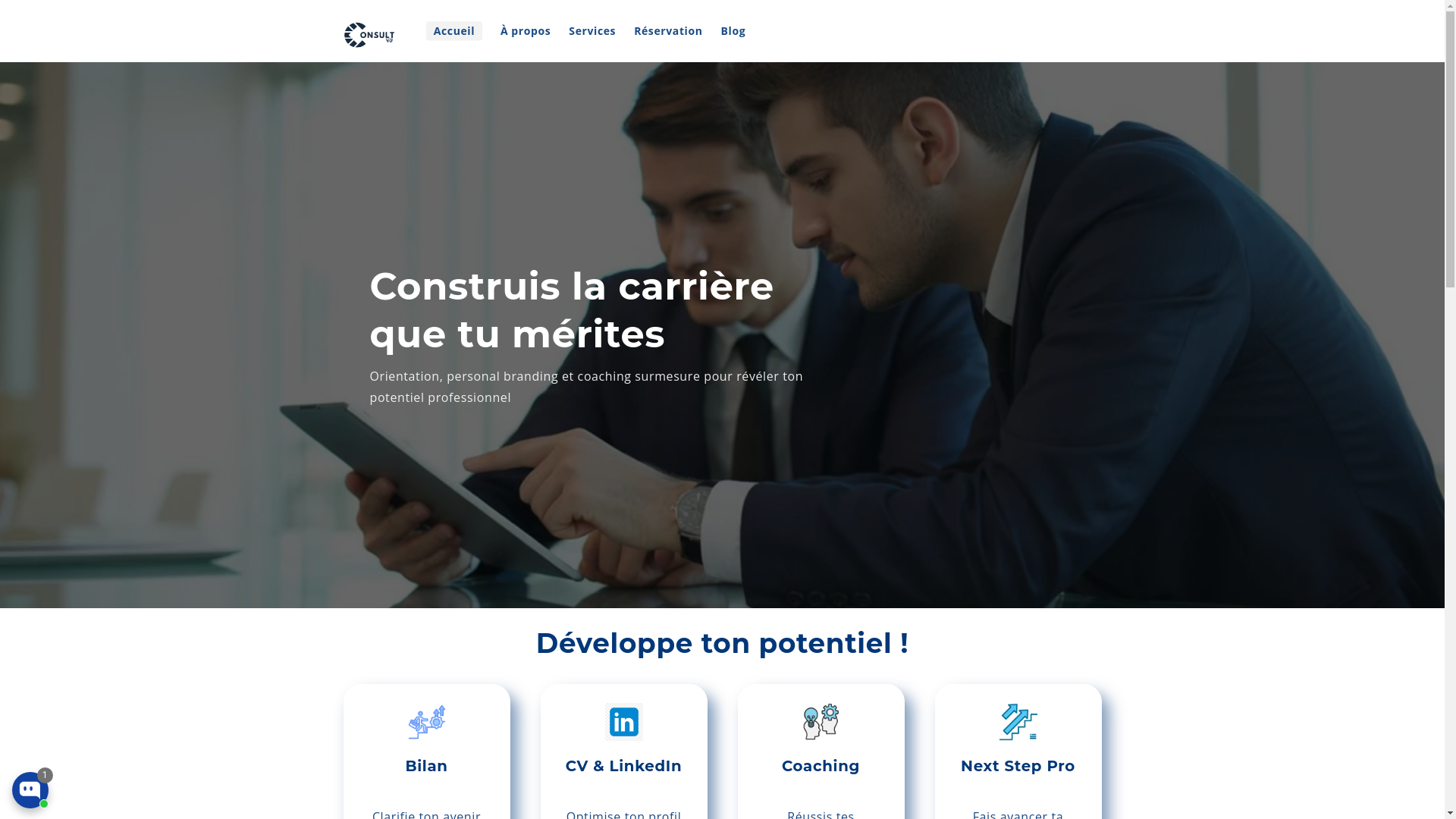 website screenshot of https://consultyz.services/