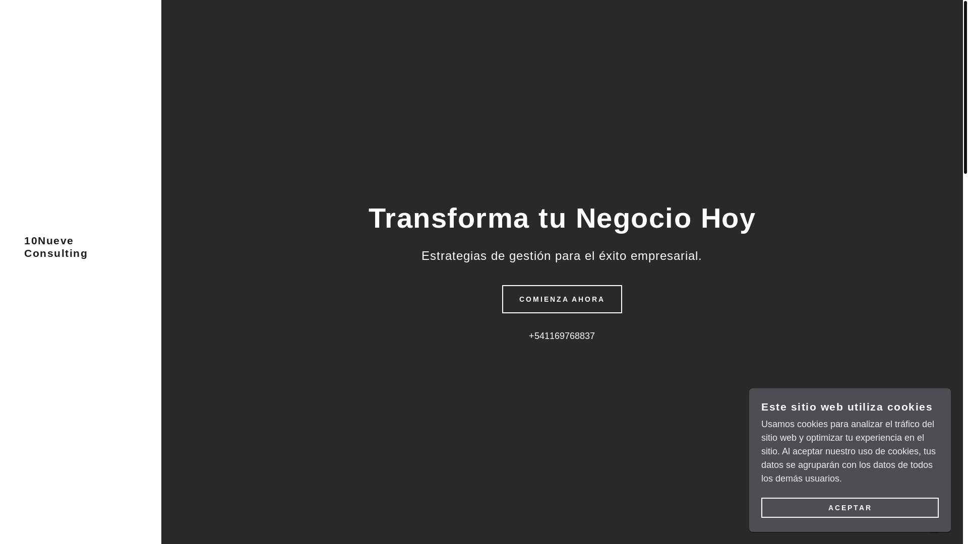 website screenshot of https://10nueveconsulting.com/