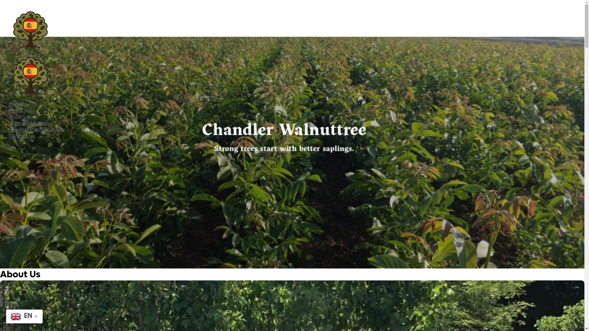 website screenshot of https://chandler.es/