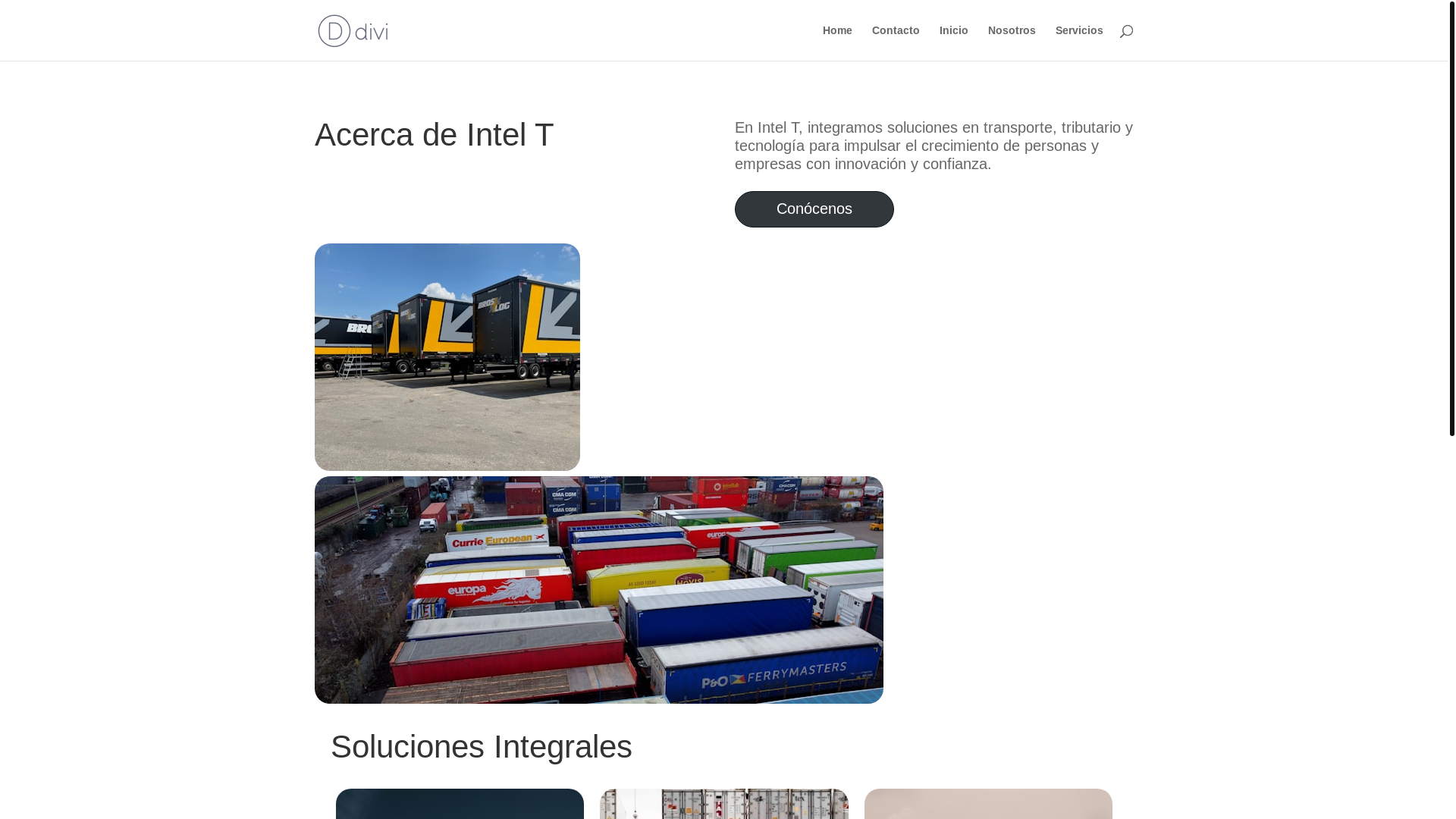 website screenshot of https://intelt.com.co/