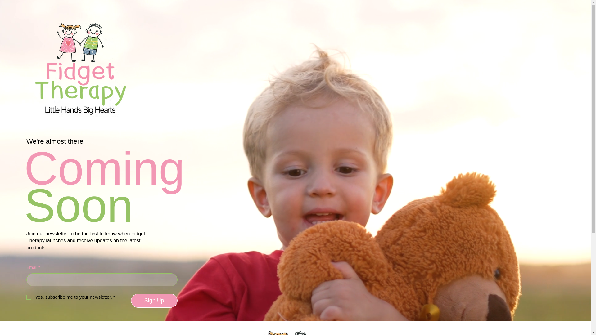 website screenshot of https://fidgettherapyhub.com/